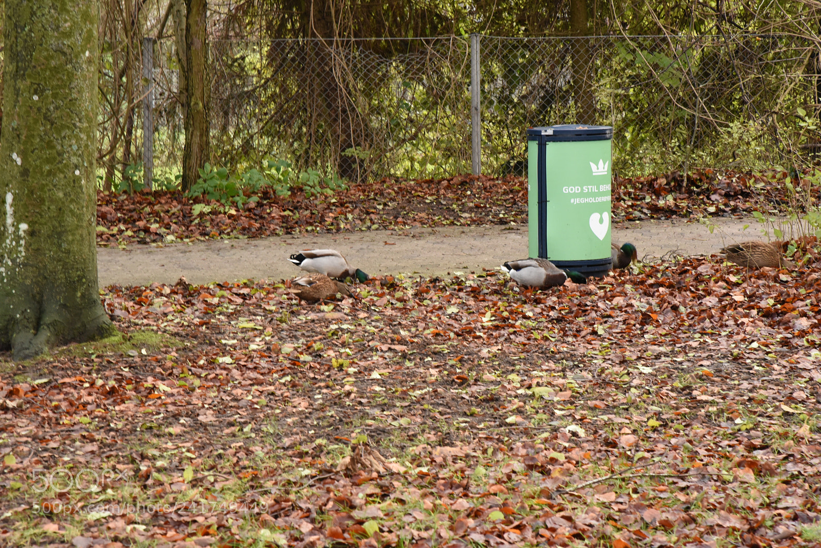 Nikon AF-S Nikkor 24-120mm F4G ED VR sample photo. Dsc photography