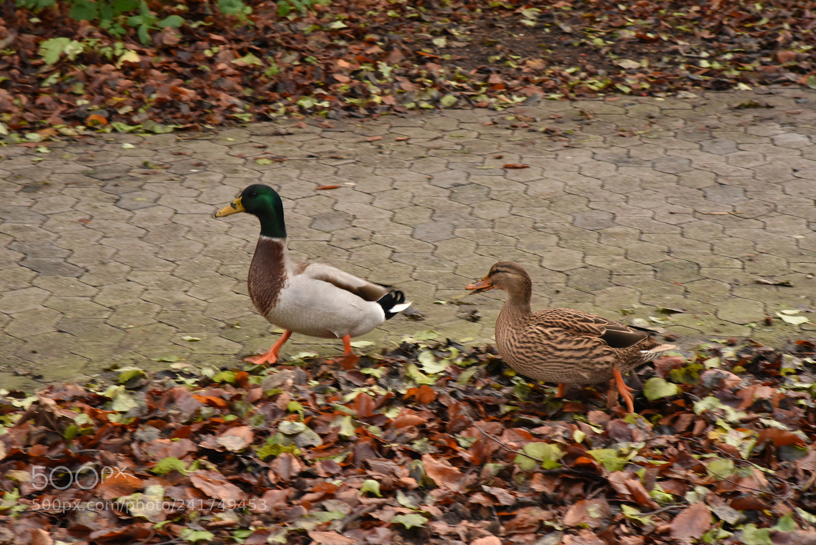 Nikon AF-S Nikkor 24-120mm F4G ED VR sample photo. Dsc photography