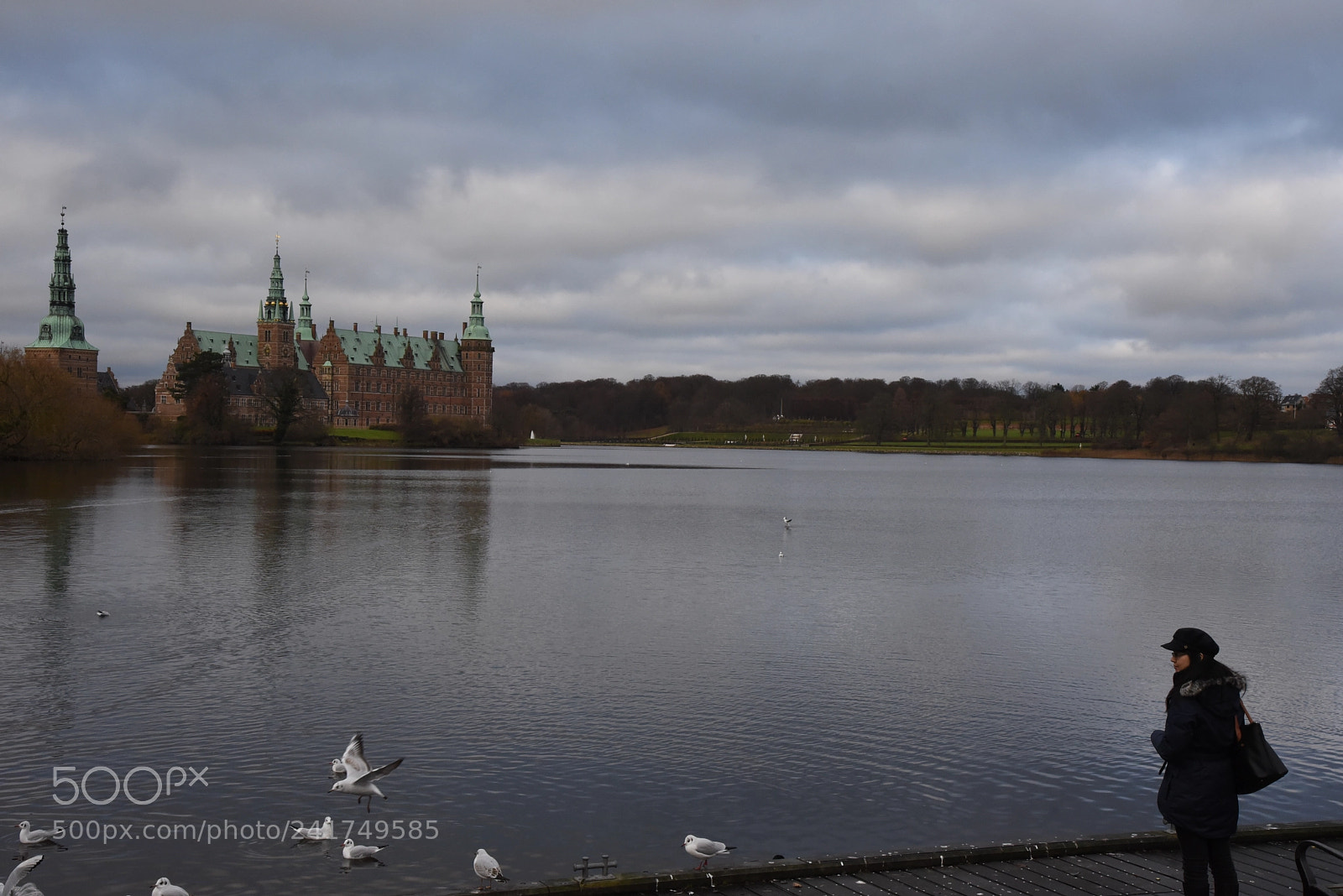 Nikon AF-S Nikkor 24-120mm F4G ED VR sample photo. Dsc photography