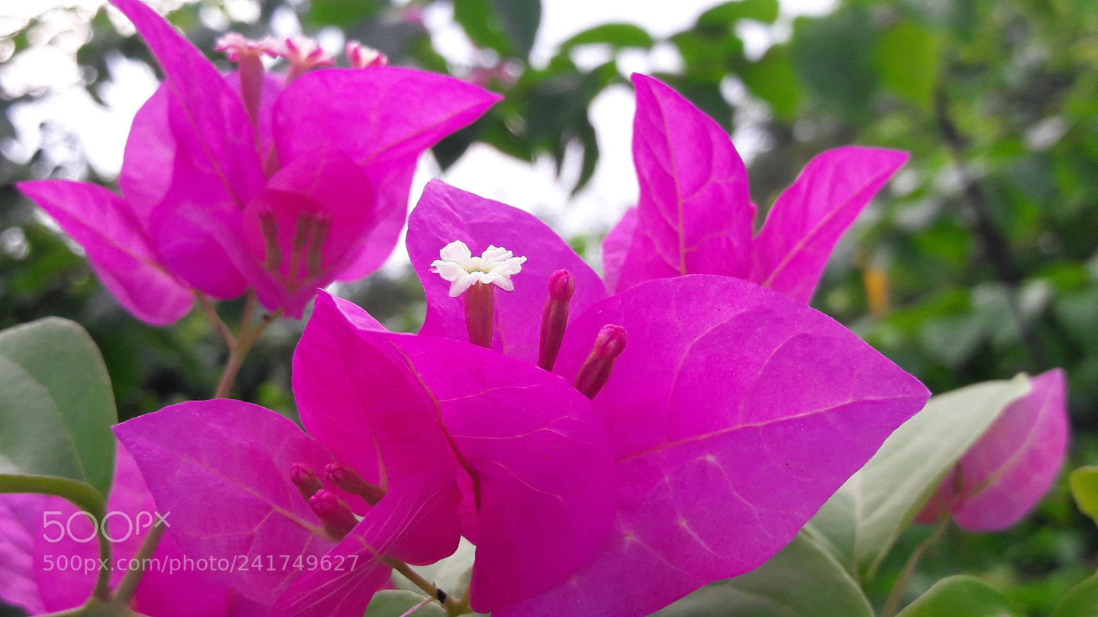 Samsung Galaxy J7 sample photo. Untitled photography
