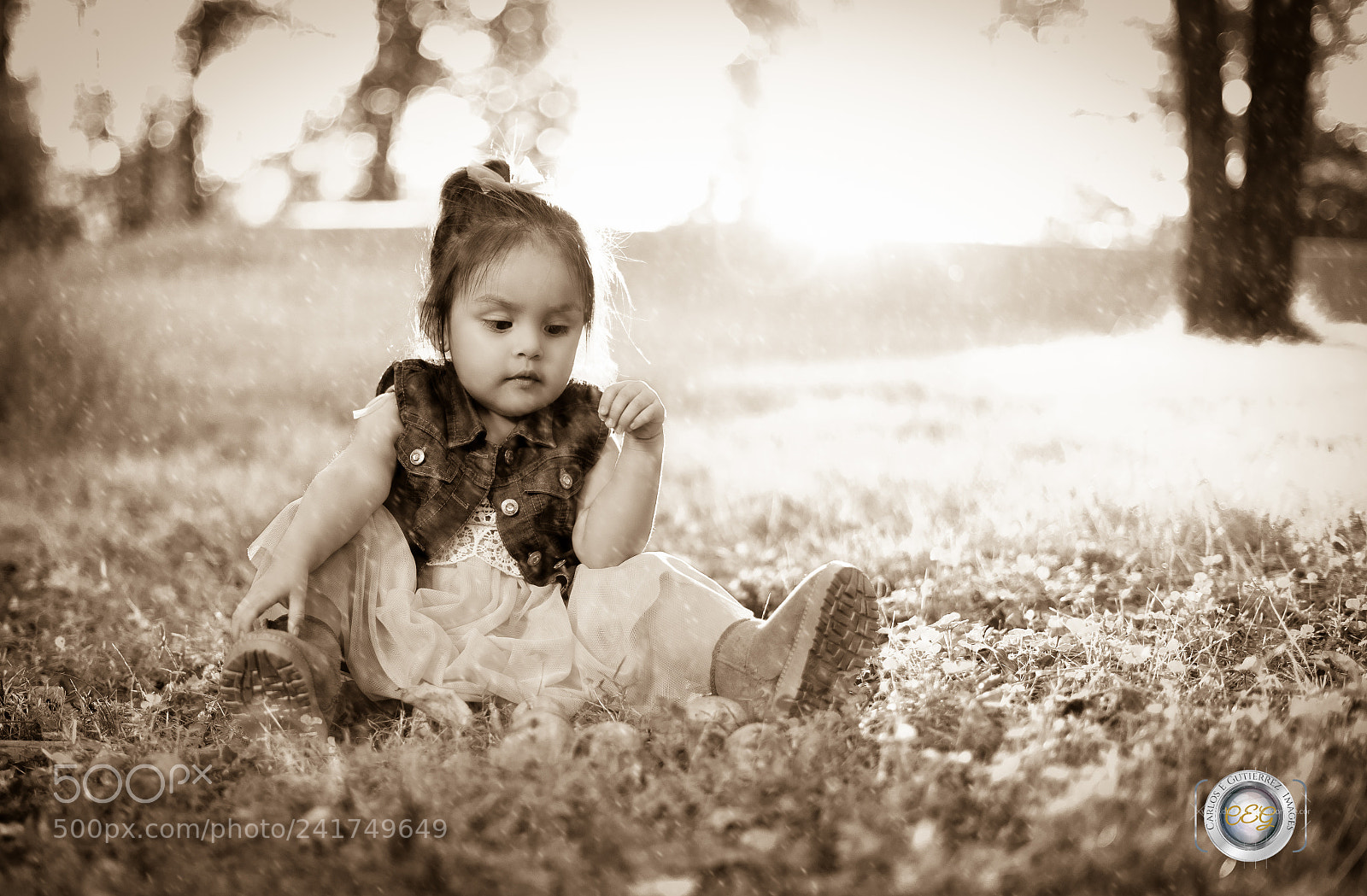Sony a7 II sample photo. Untitled photography