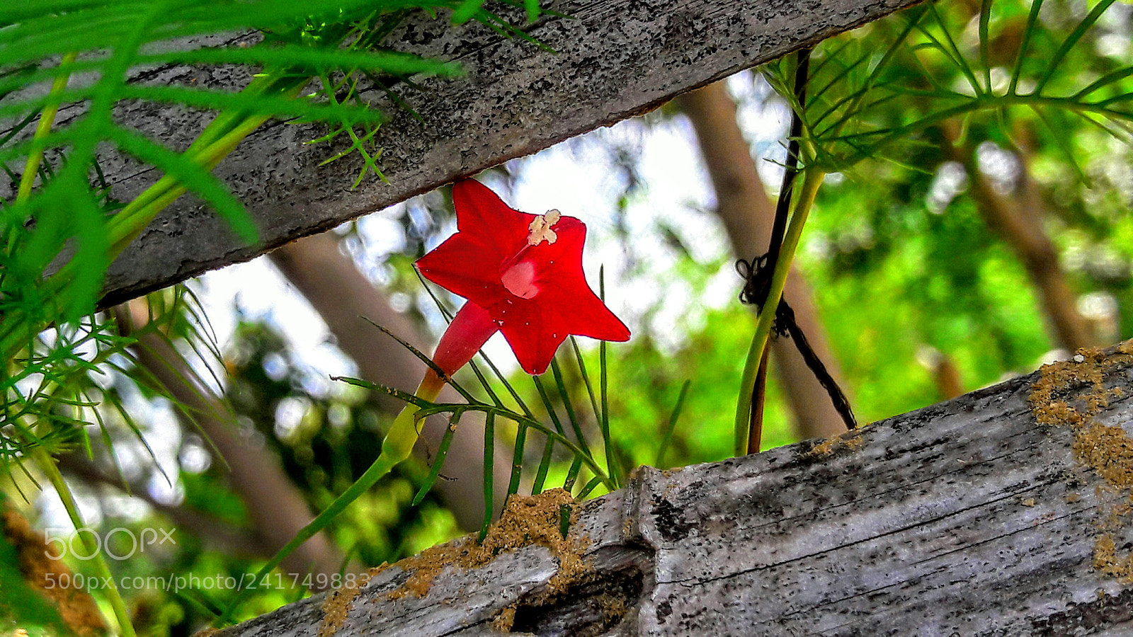 Samsung Galaxy J7 sample photo. Untitled photography
