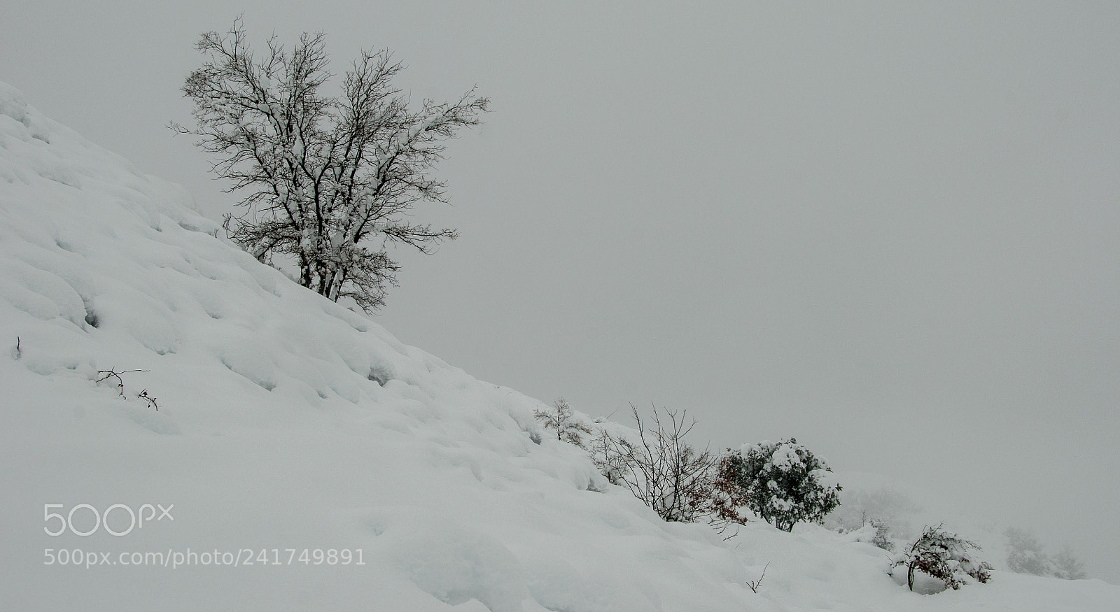 Nikon D300 sample photo. Nevados photography