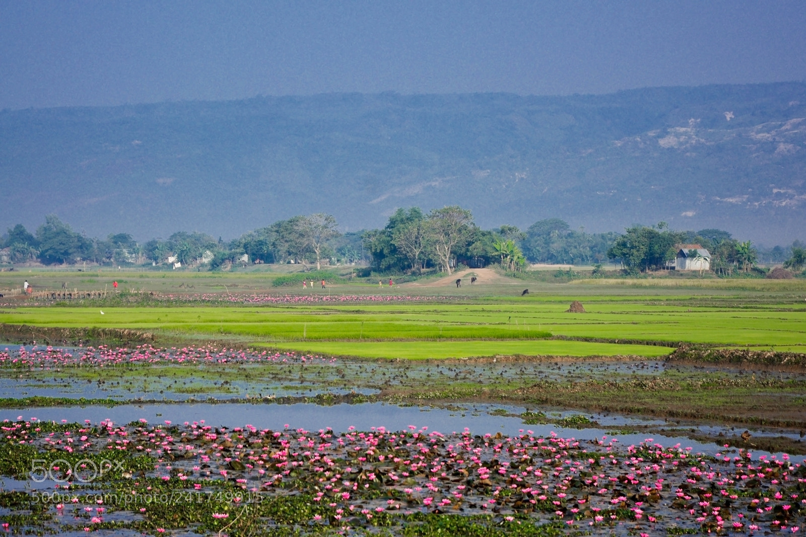 Nikon D7100 sample photo. Landscape photography