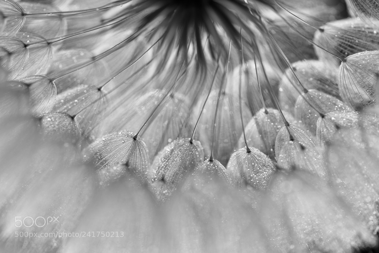 Nikon D800 sample photo. Chandelier photography