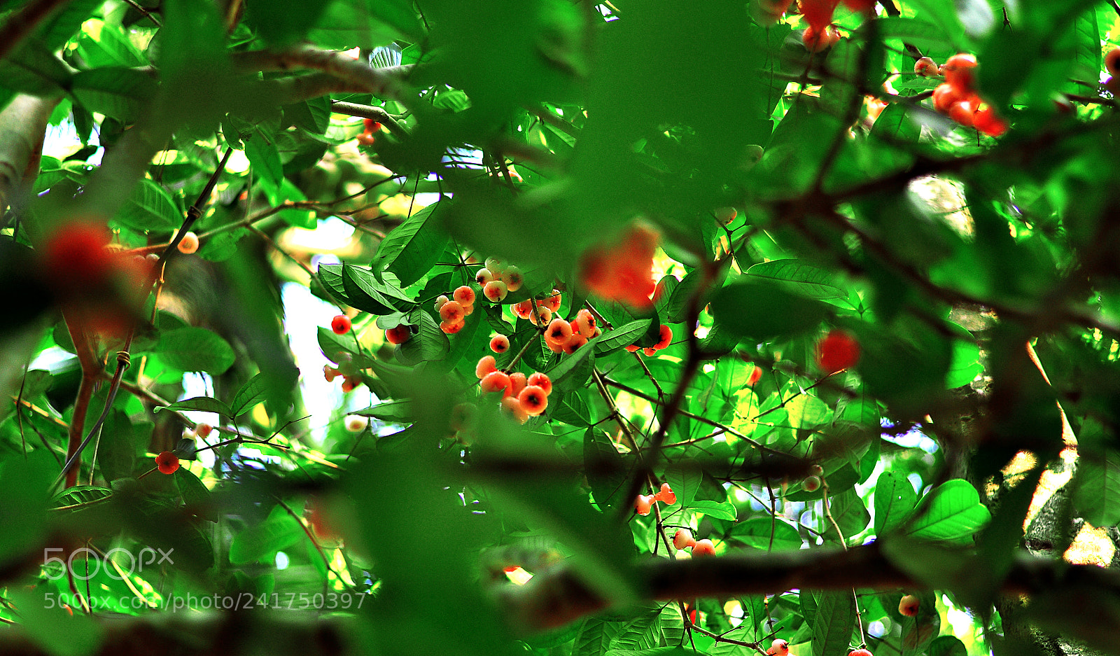 Nikon D90 sample photo. Fresh nature photography