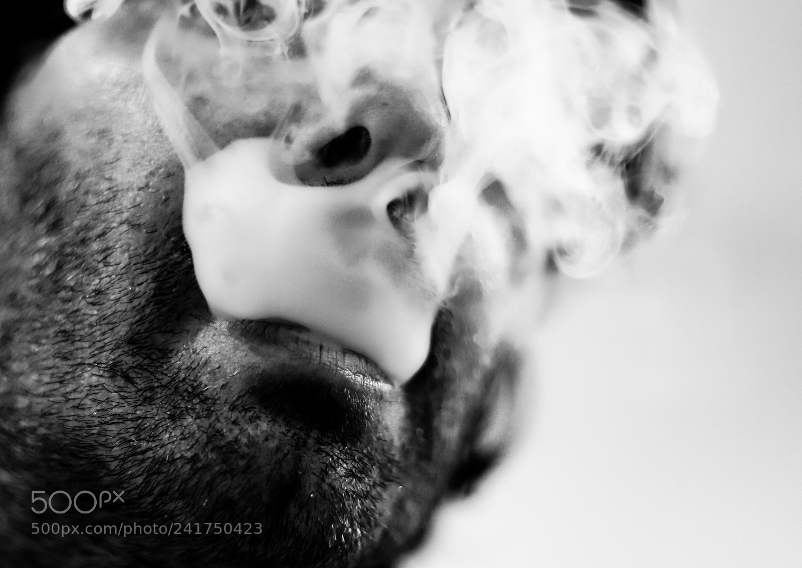 Canon EOS 6D Mark II sample photo. Untitled photography