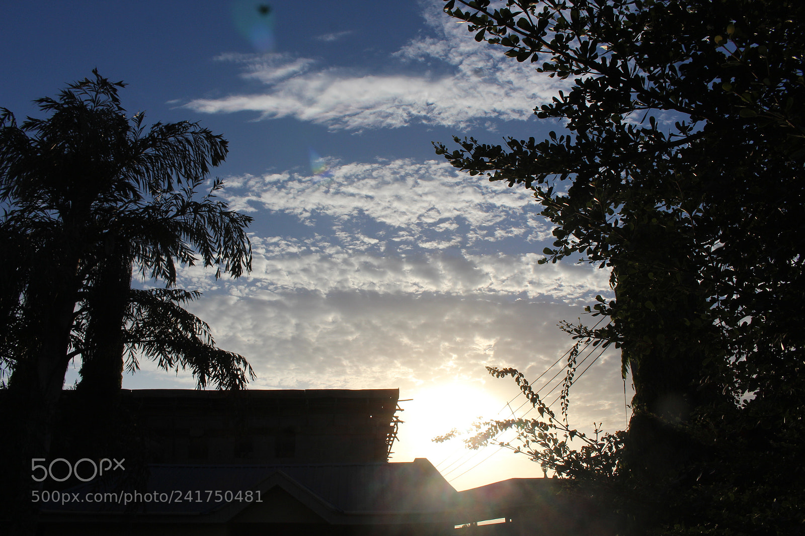 Canon EOS 700D (EOS Rebel T5i / EOS Kiss X7i) sample photo. Untitled photography
