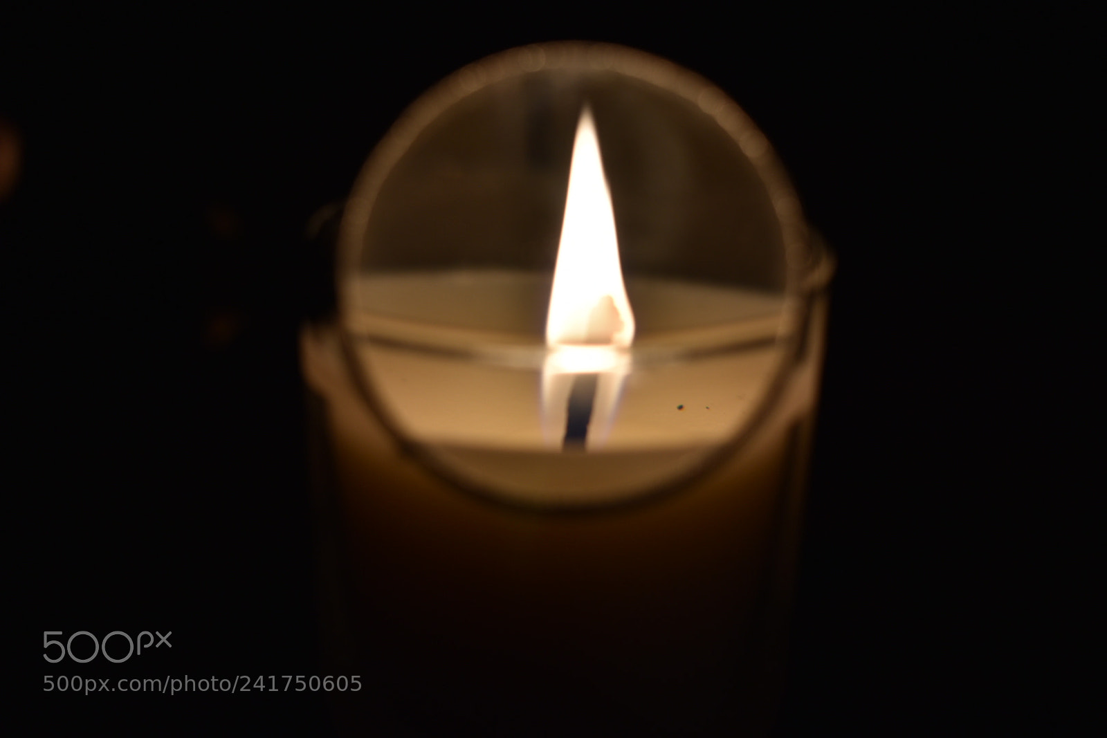 Nikon D5600 sample photo. ? photography