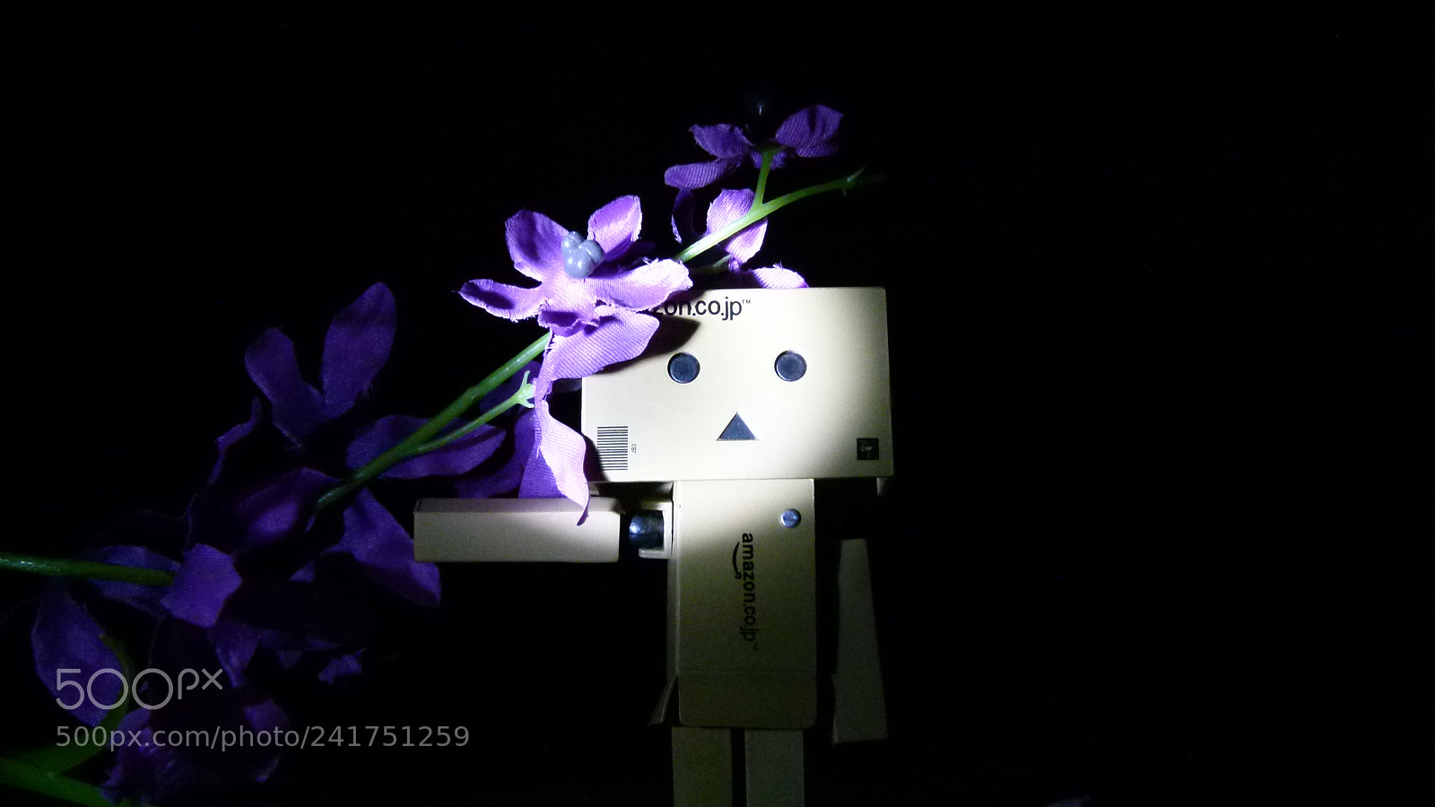 Leica V-Lux 2 sample photo. Untitled photography
