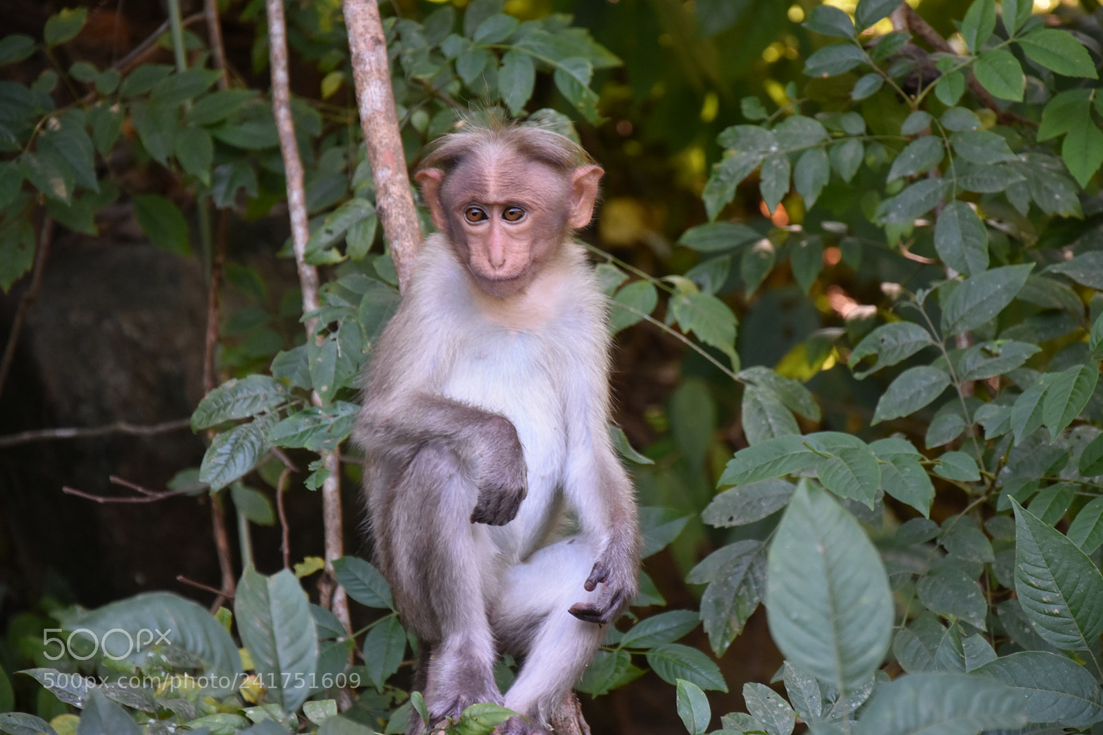 Nikon D7200 sample photo. Dsc photography