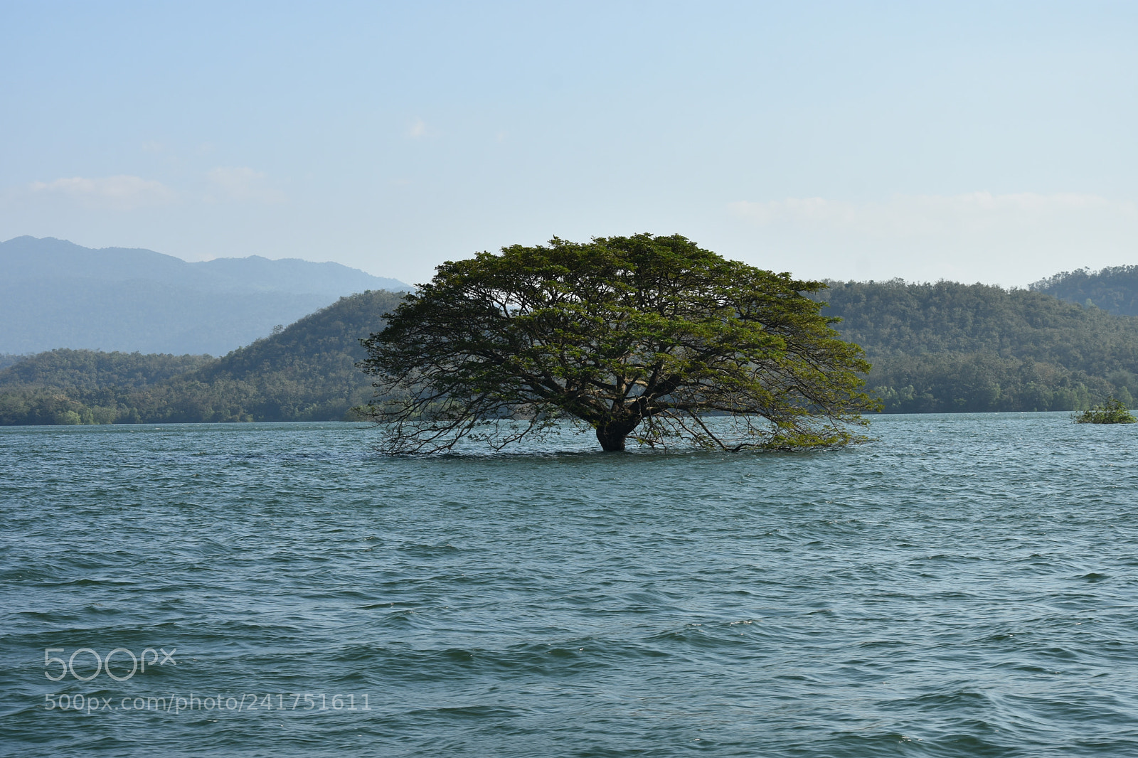Nikon D7200 sample photo. Dsc photography