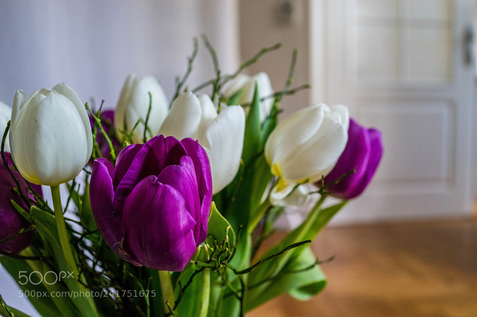Sony Cyber-shot DSC-RX1R sample photo. Tulips for my girlfriend photography