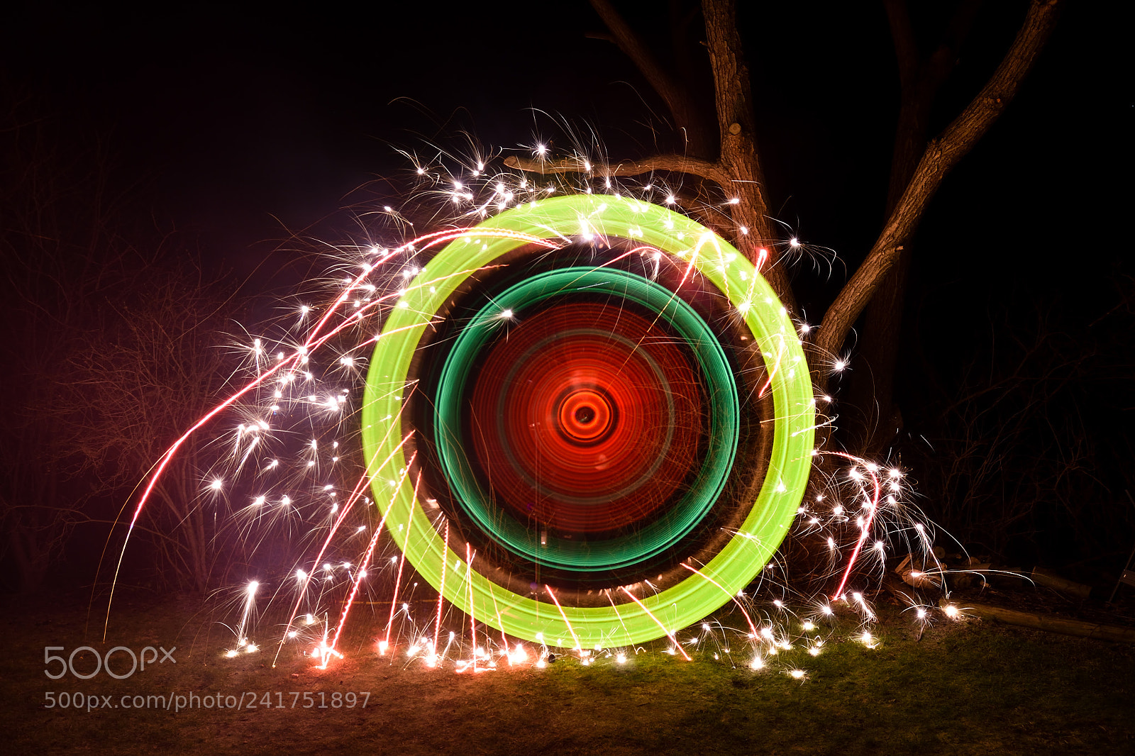 Nikon D7200 sample photo. The power of light photography