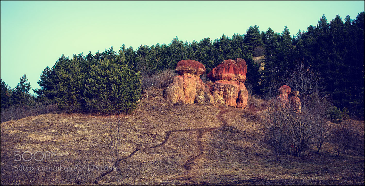Nikon D850 sample photo. Kislovodsk photography