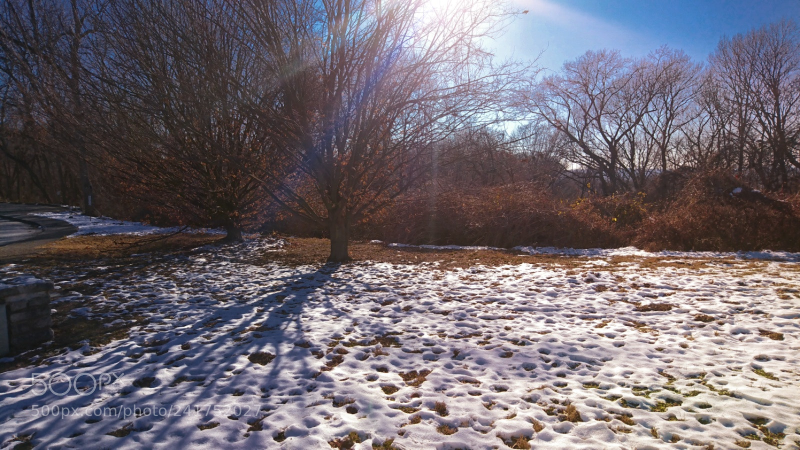 Sony Xperia XZ sample photo. #snowsnow photography
