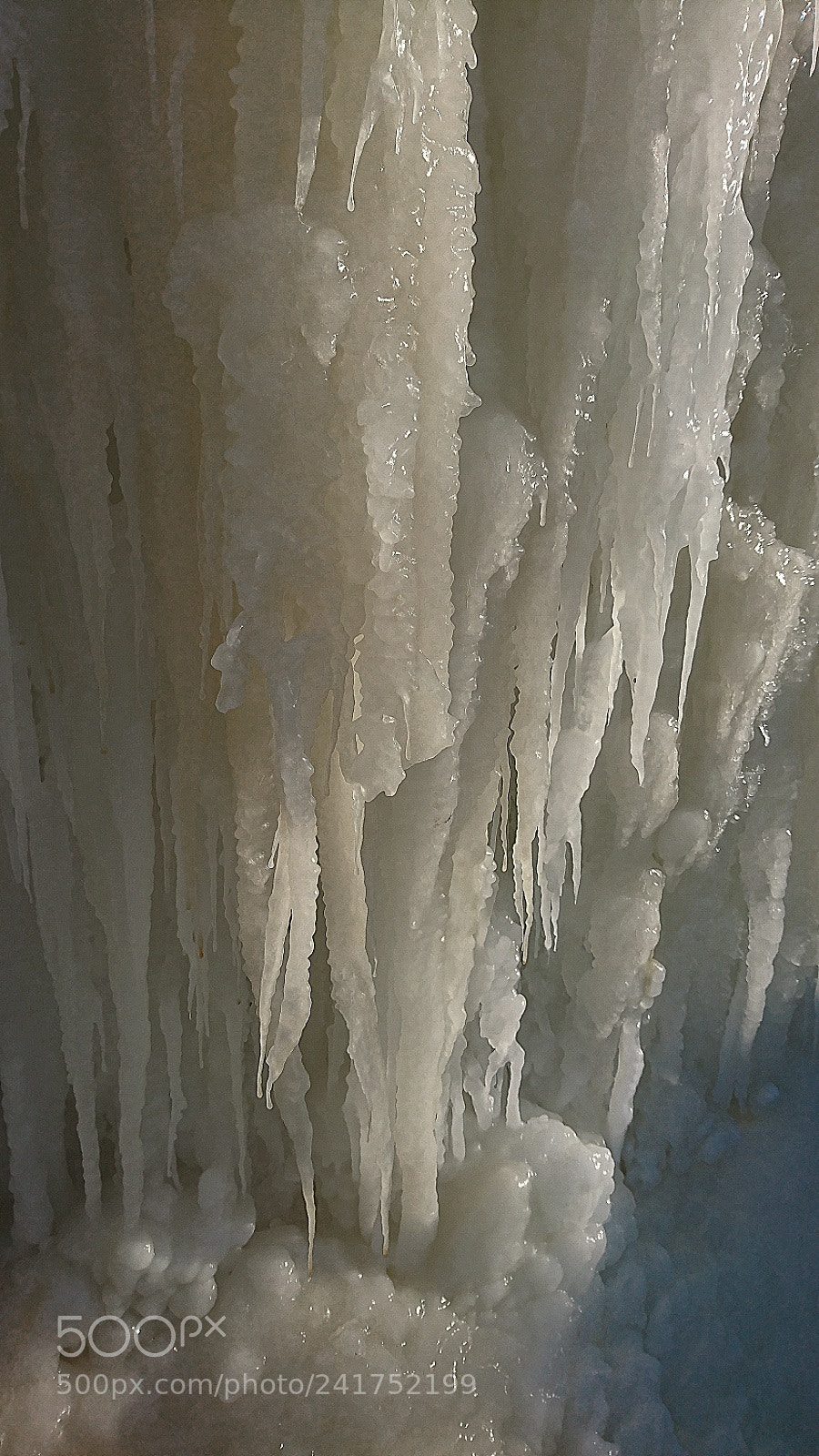Sony Xperia XZ sample photo. #iceicebaby photography