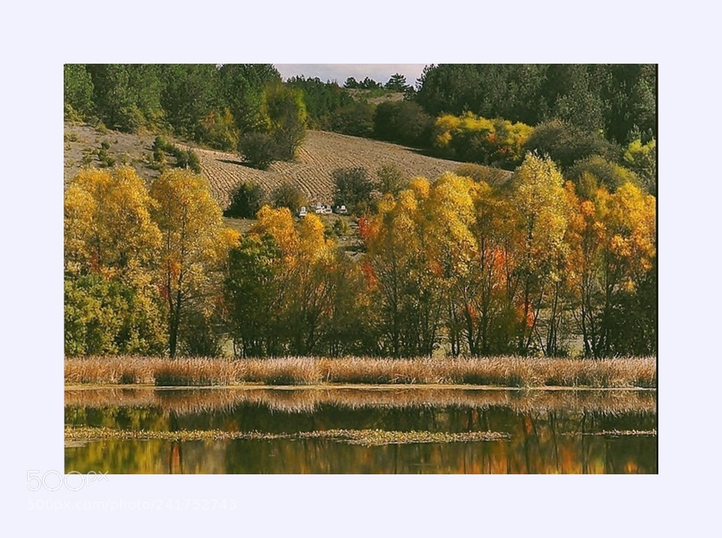 Nikon D5000 sample photo. ** photography
