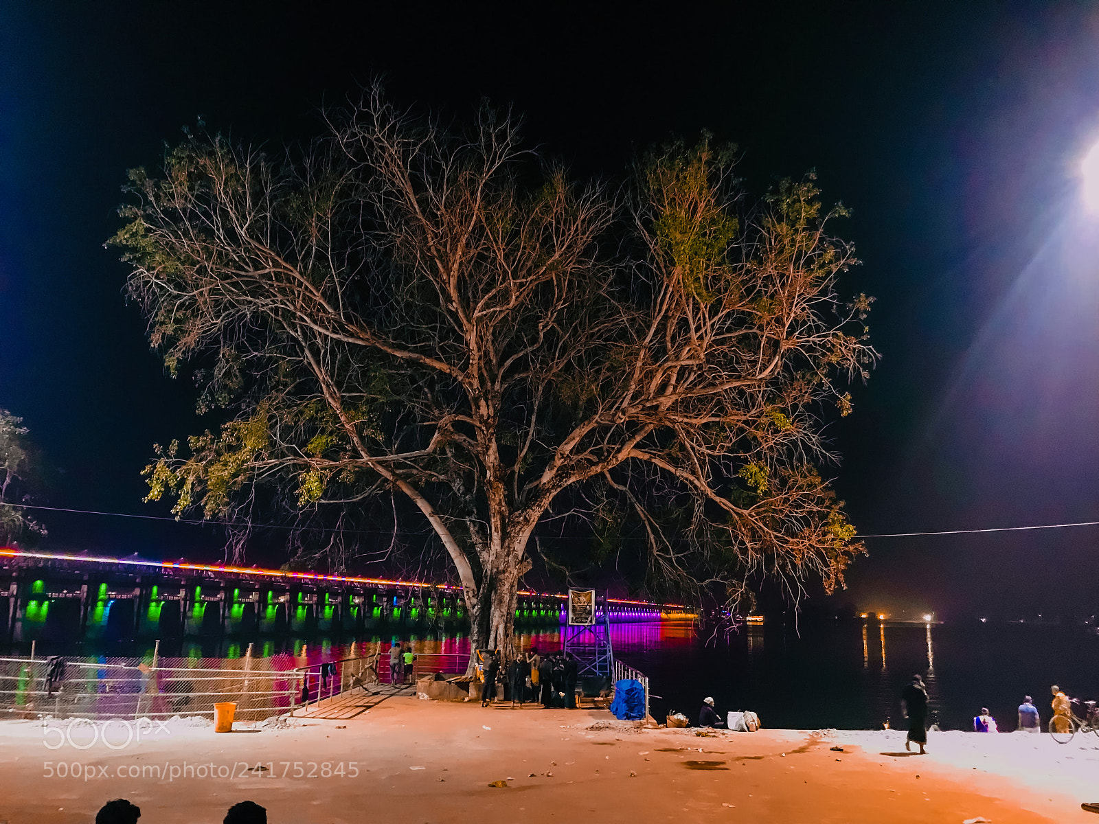 Apple iPhone 7 Plus sample photo. #treebeauty #nature #riverfront photography