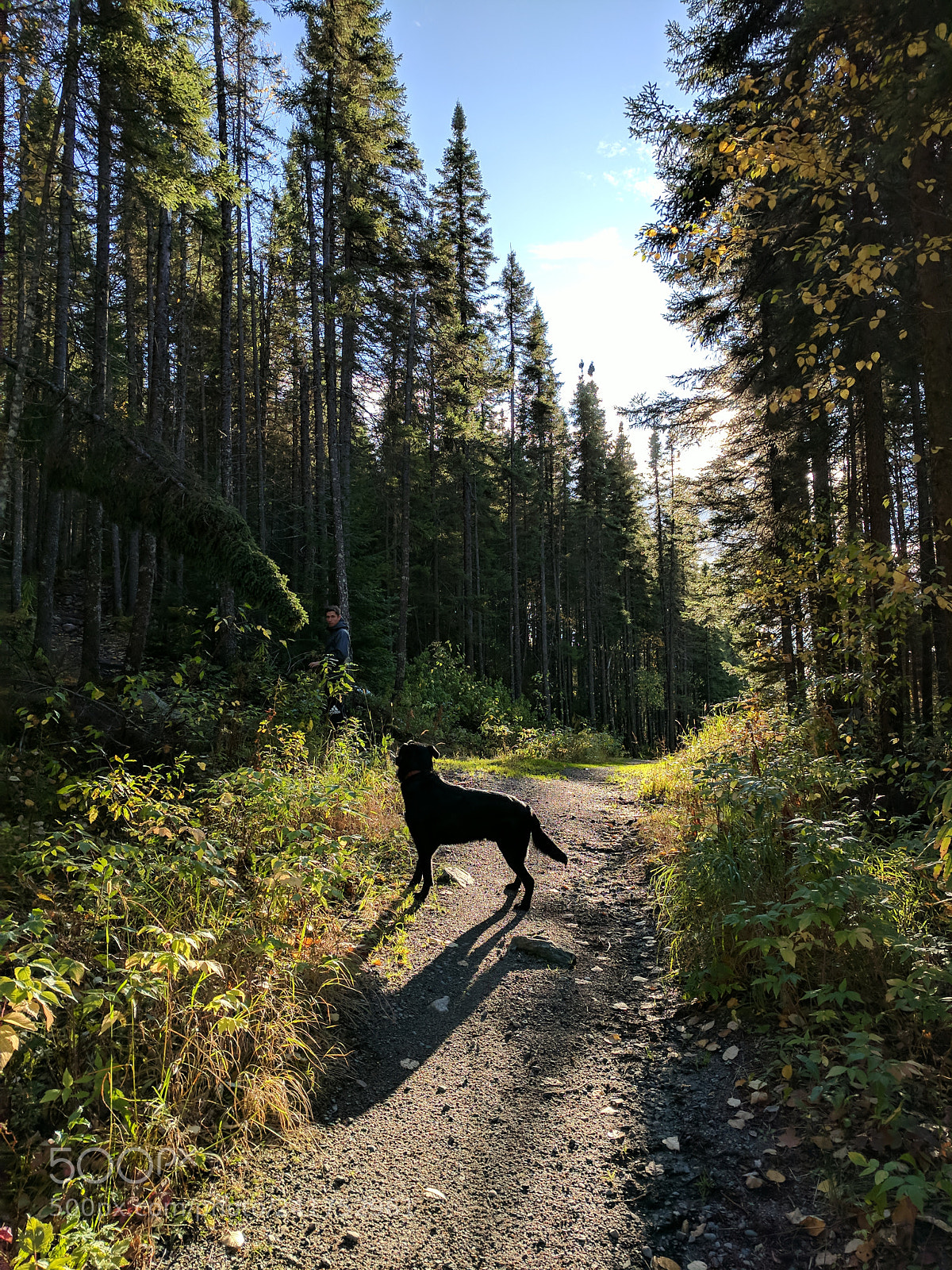 Google Pixel sample photo. () photography