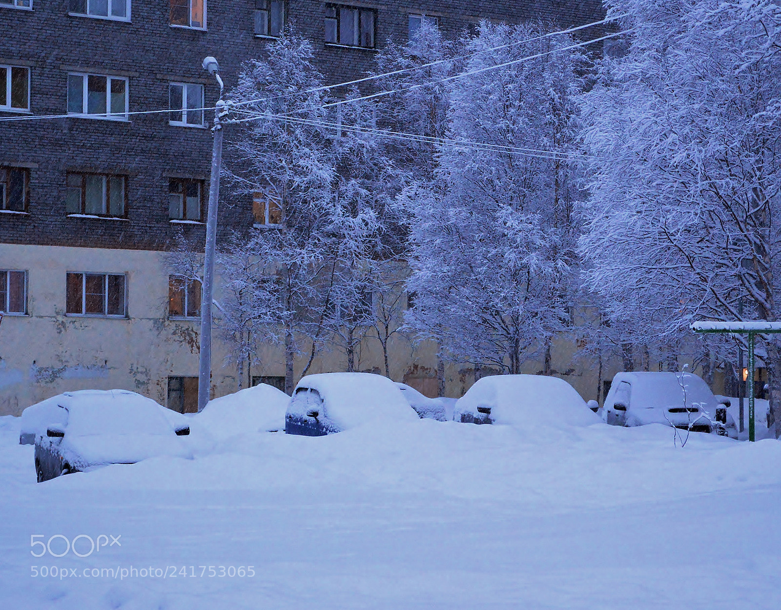 Nikon D3200 sample photo. Dsc 0012 -9.jpg snowy photography