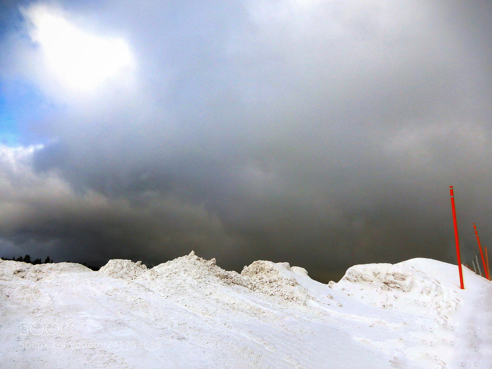 Nikon Coolpix A900 sample photo. Timberline, oregon photography