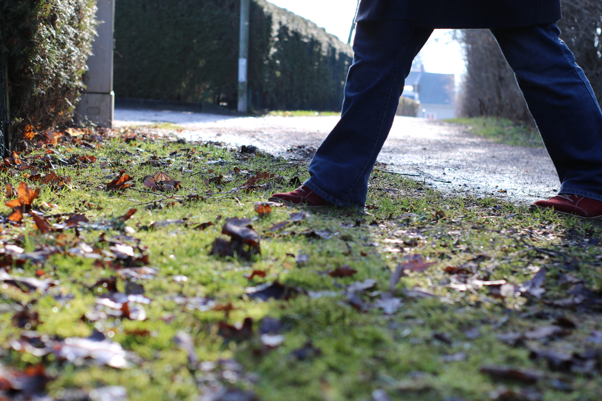 Canon 50mm sample photo