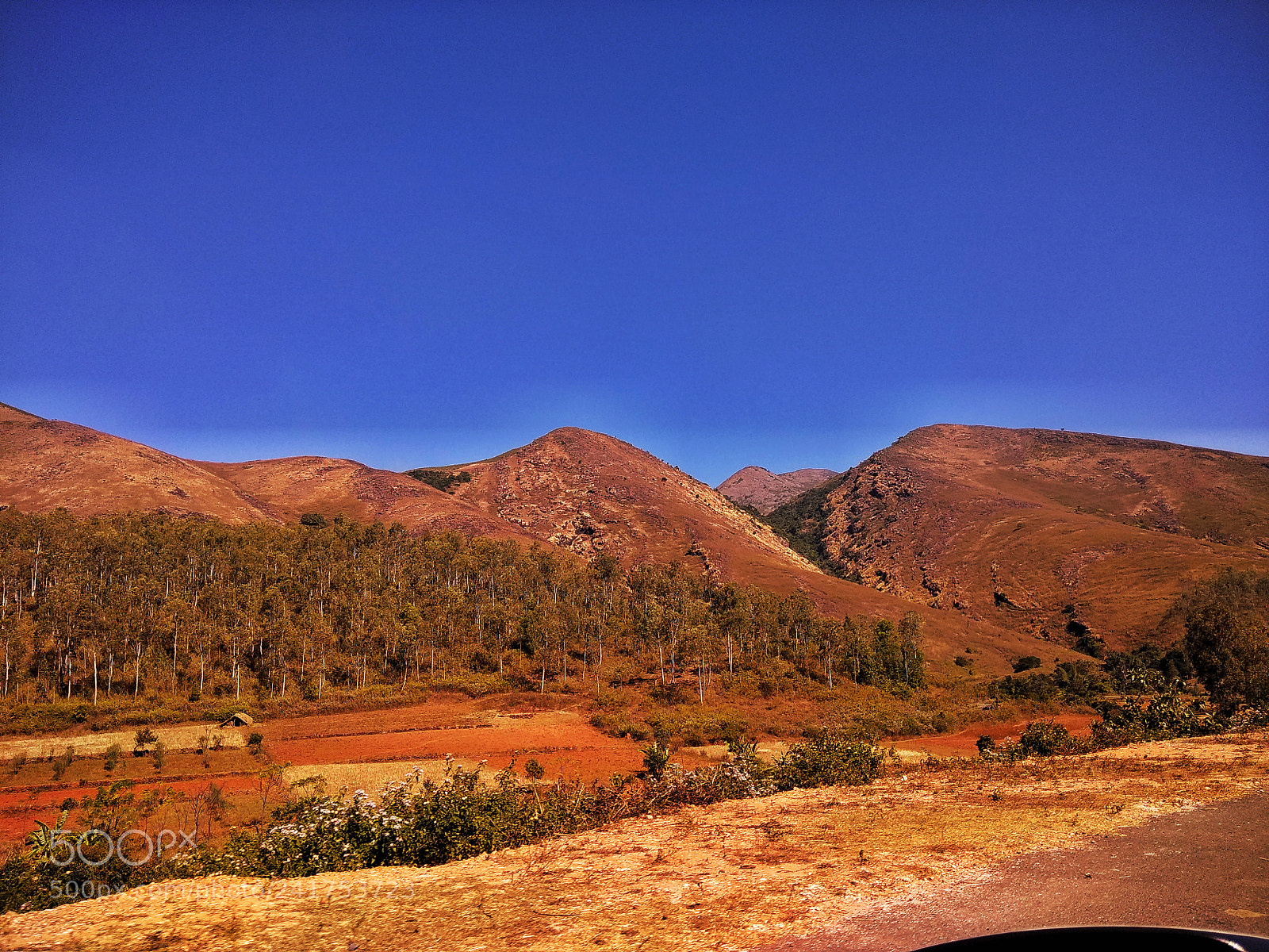 Xiaomi Redmi Note 4 sample photo. Way to deomali peak photography