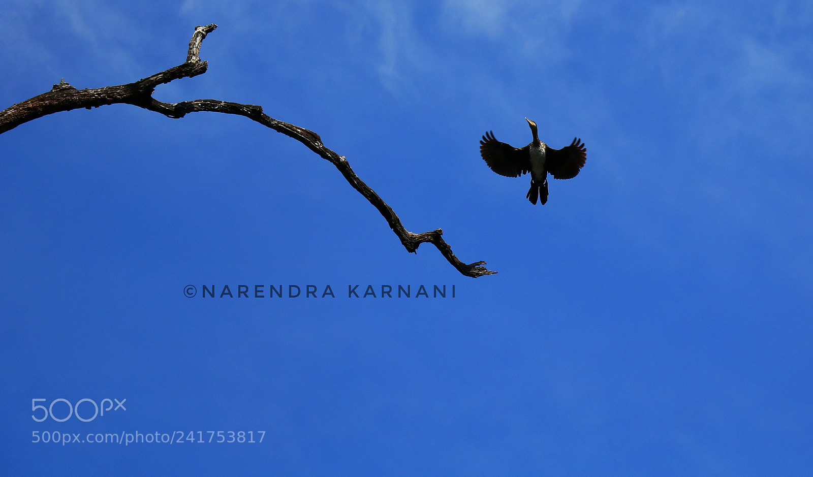 Canon EOS 760D (EOS Rebel T6s / EOS 8000D) sample photo. Untitled photography