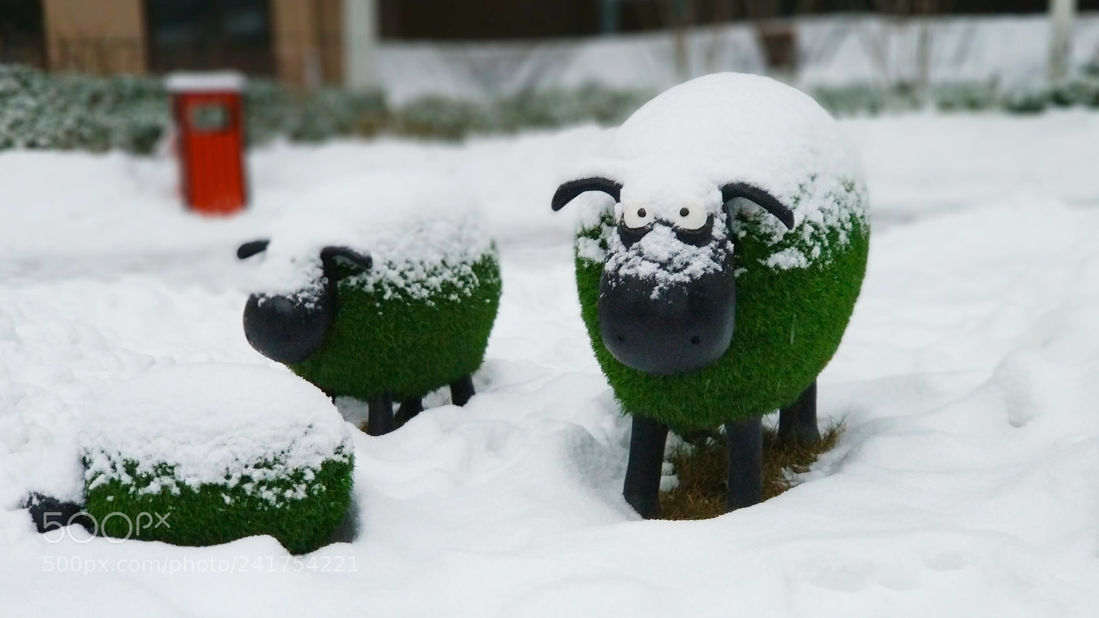 Xiaomi MI6 sample photo. Shaun the snowy sheep? photography