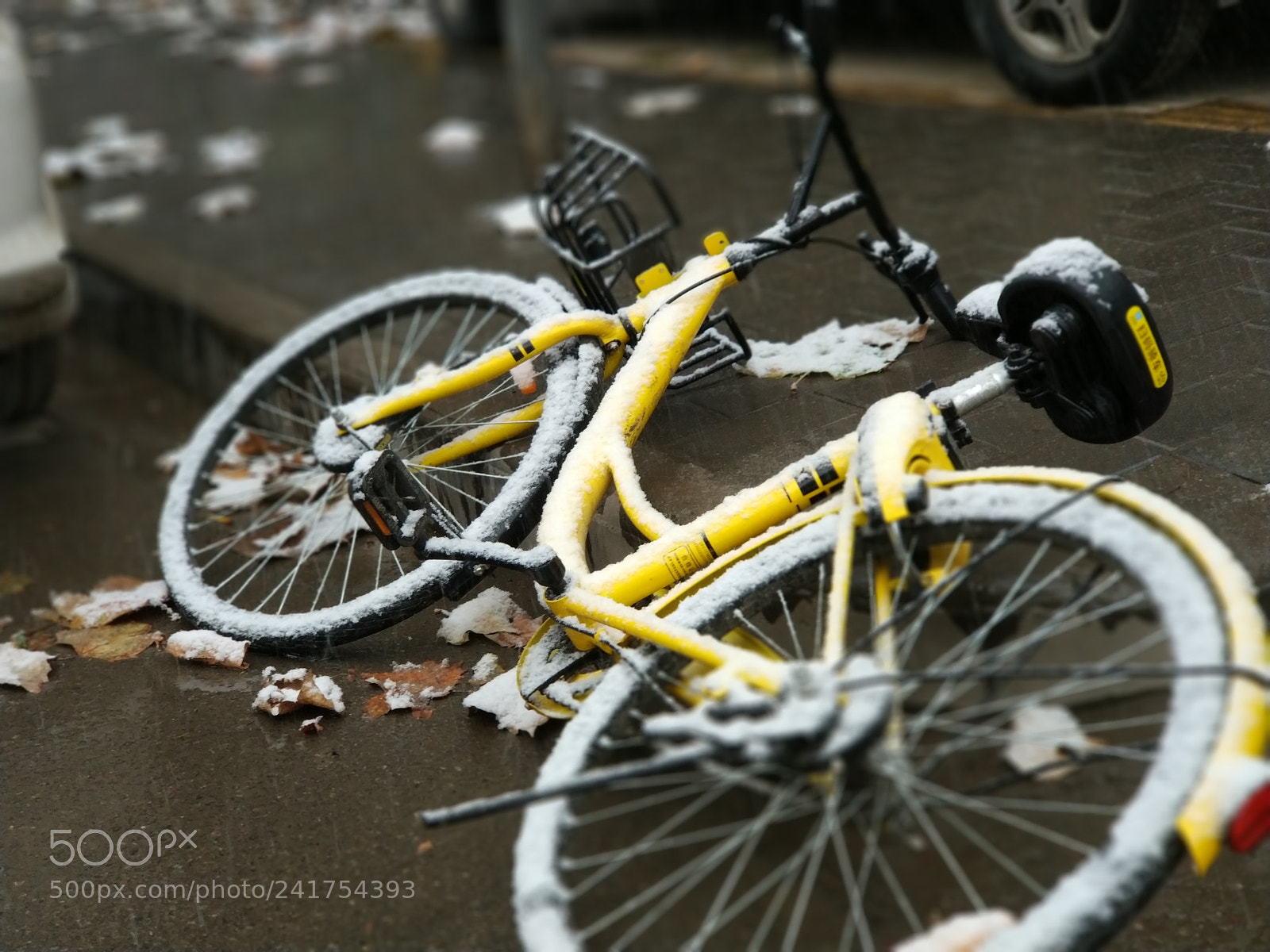 Xiaomi MI6 sample photo. Winter of bike sharing photography