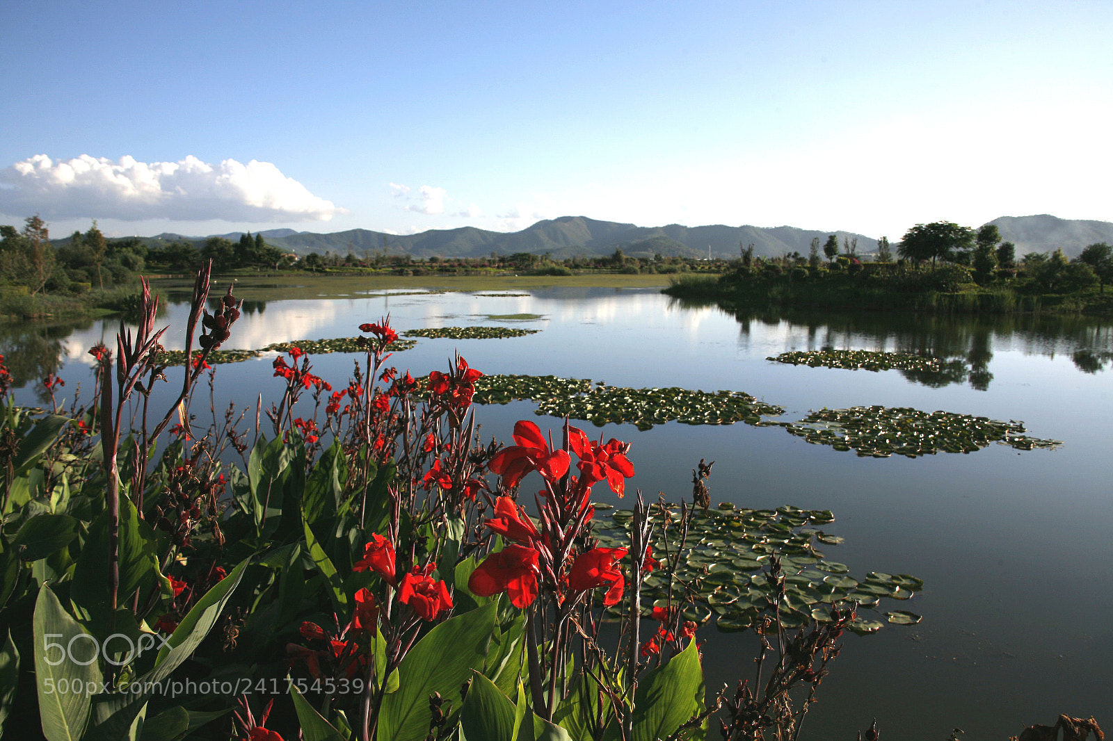 Canon EOS 5D sample photo. �������������������������������������������������������������������������������������������������... photography