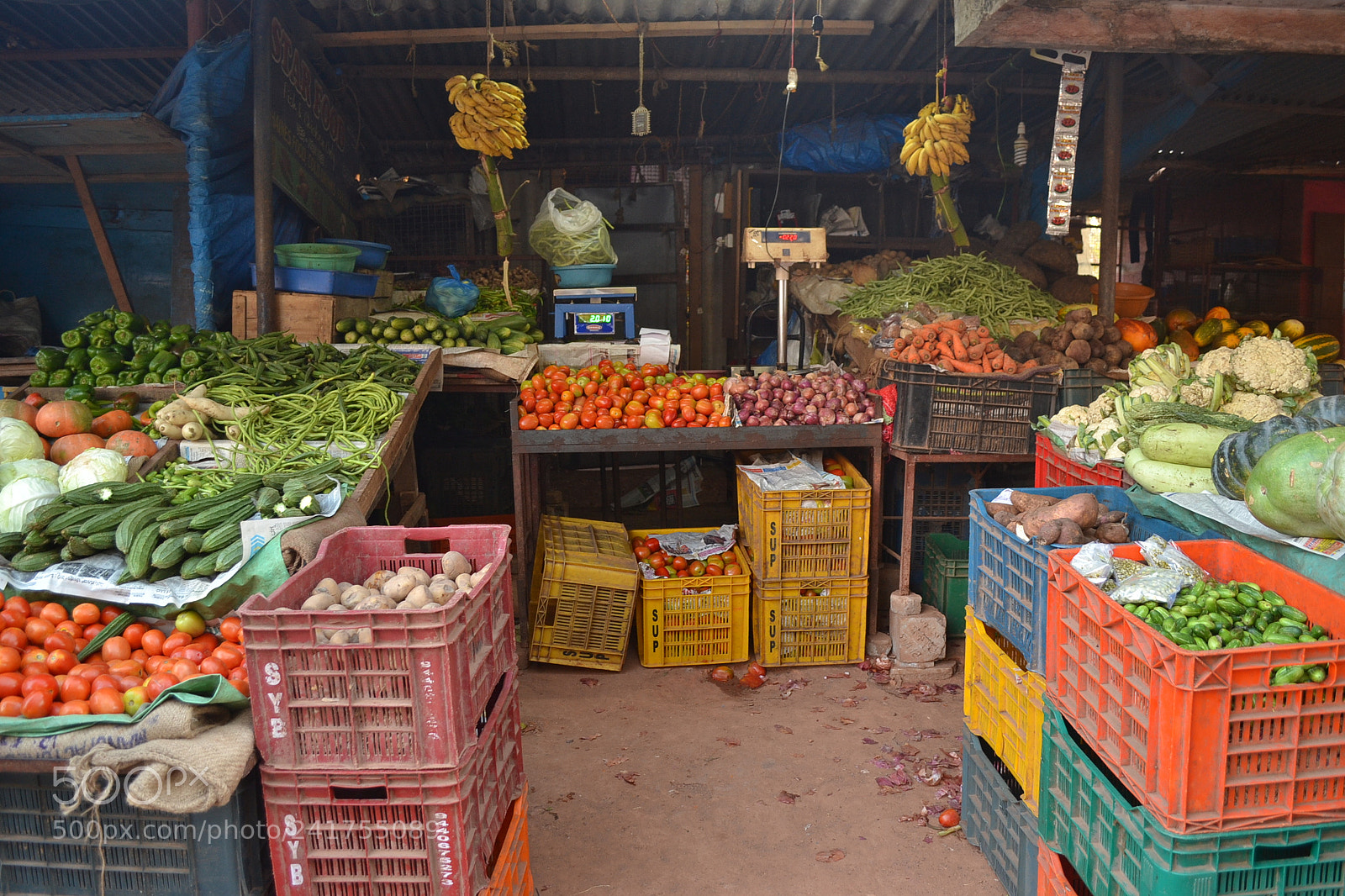 Nikon D3100 sample photo. Bazaar photography