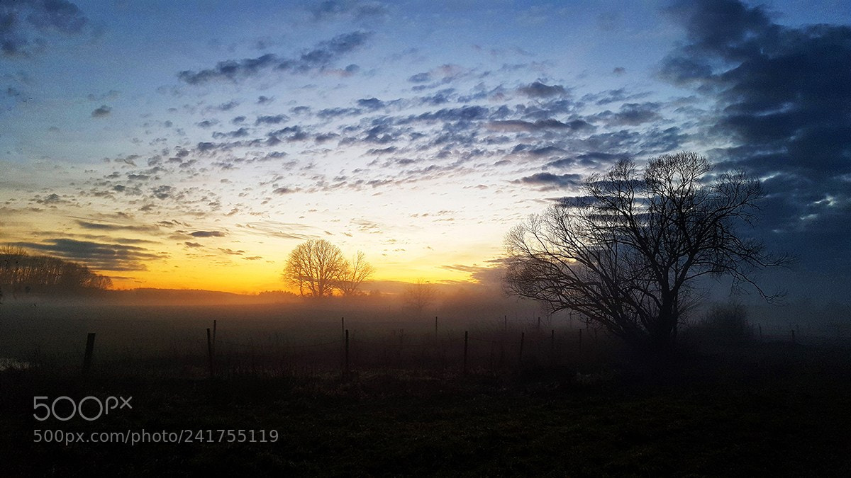 Samsung GALAXY S6 edge sample photo. Sun and fog photography