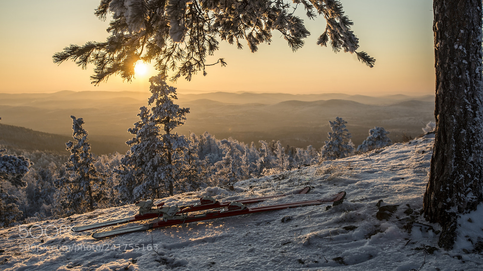 Nikon D800 sample photo. Winter evening in the photography
