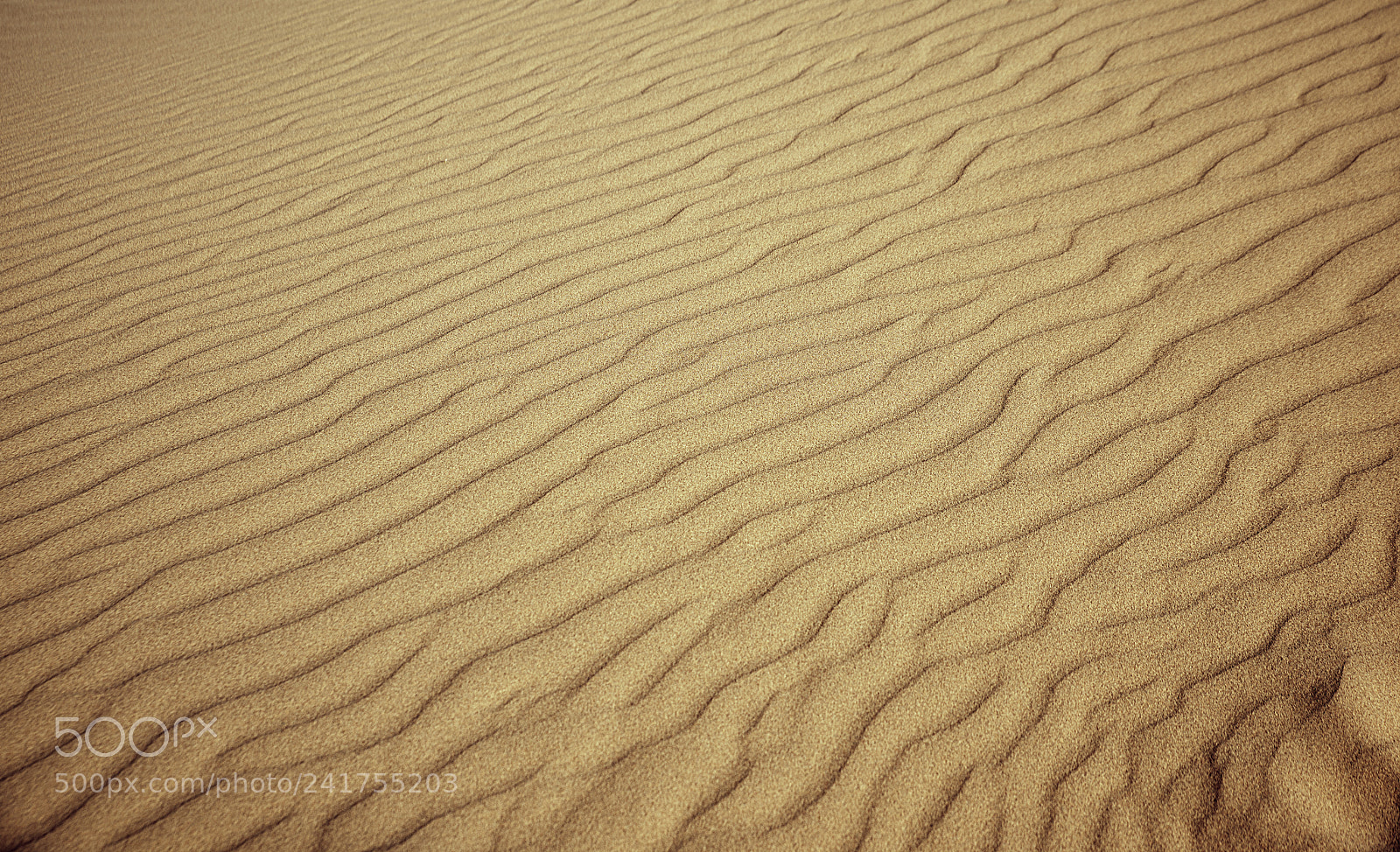 Nikon D810 sample photo. Sand photography