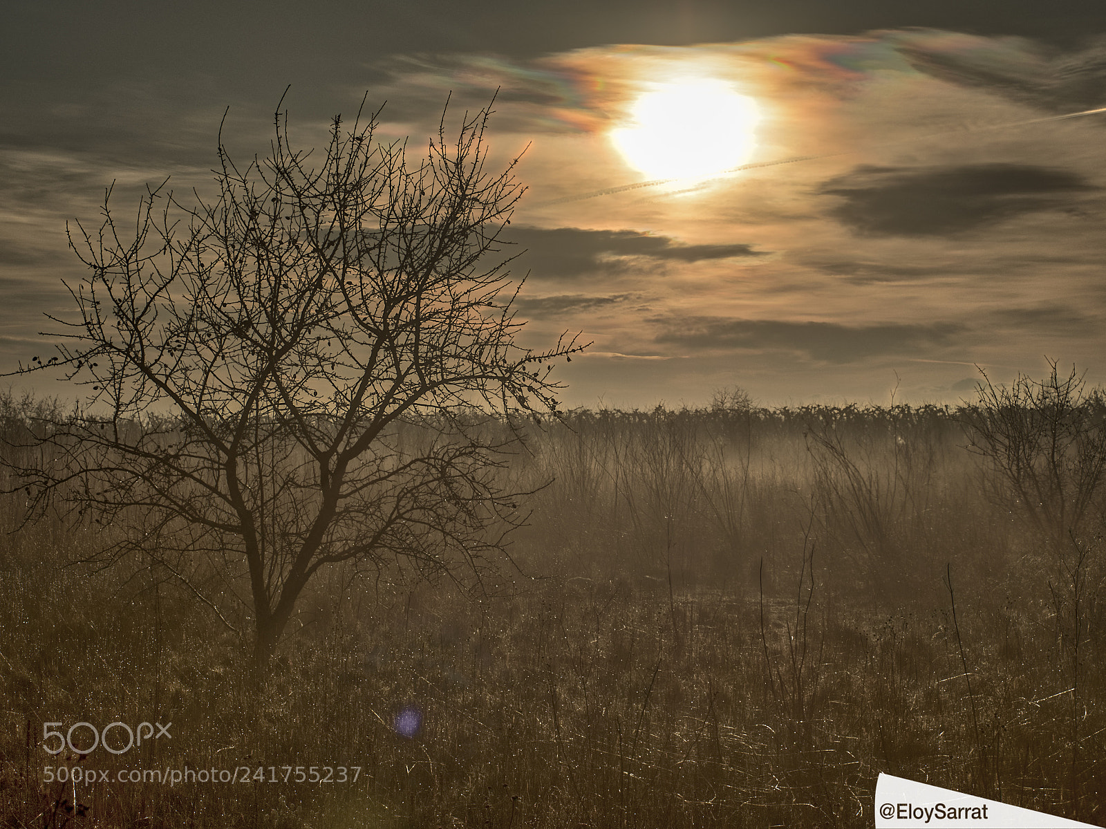 Olympus OM-D E-M5 II sample photo. Sunrise at corbins photography