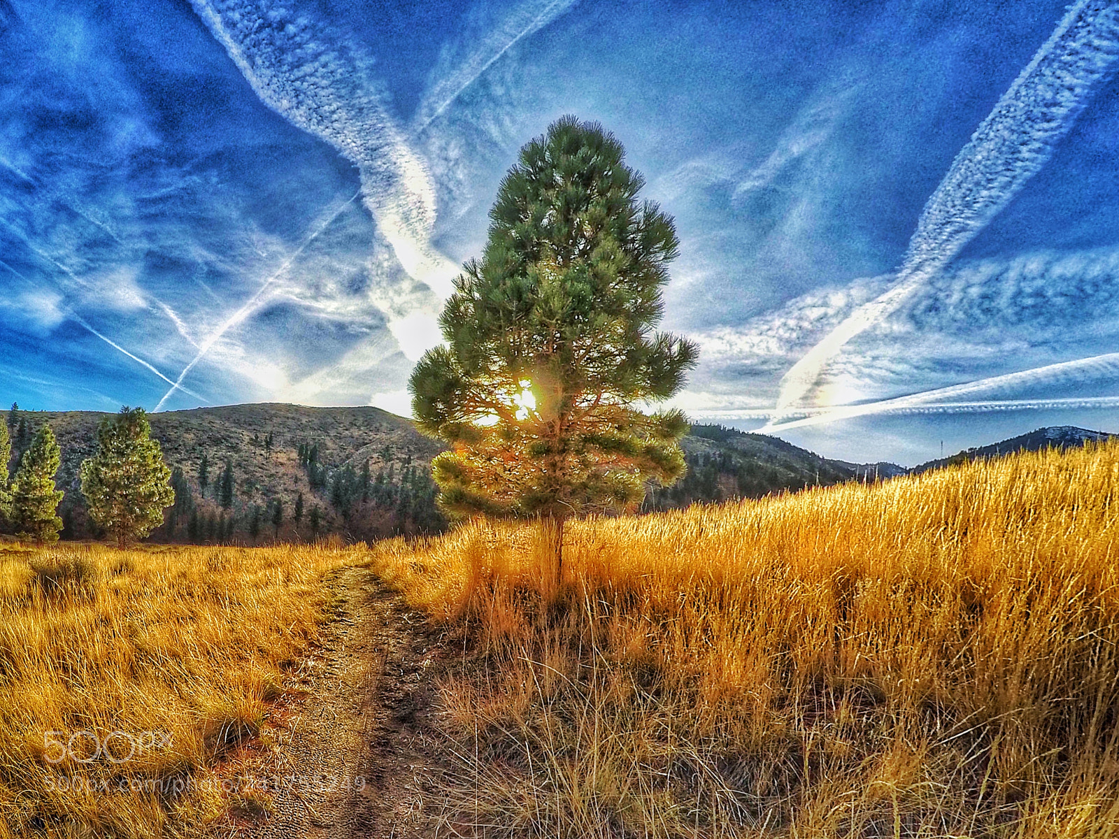 GoPro Hero5 Black sample photo. Carson city, nevada photography
