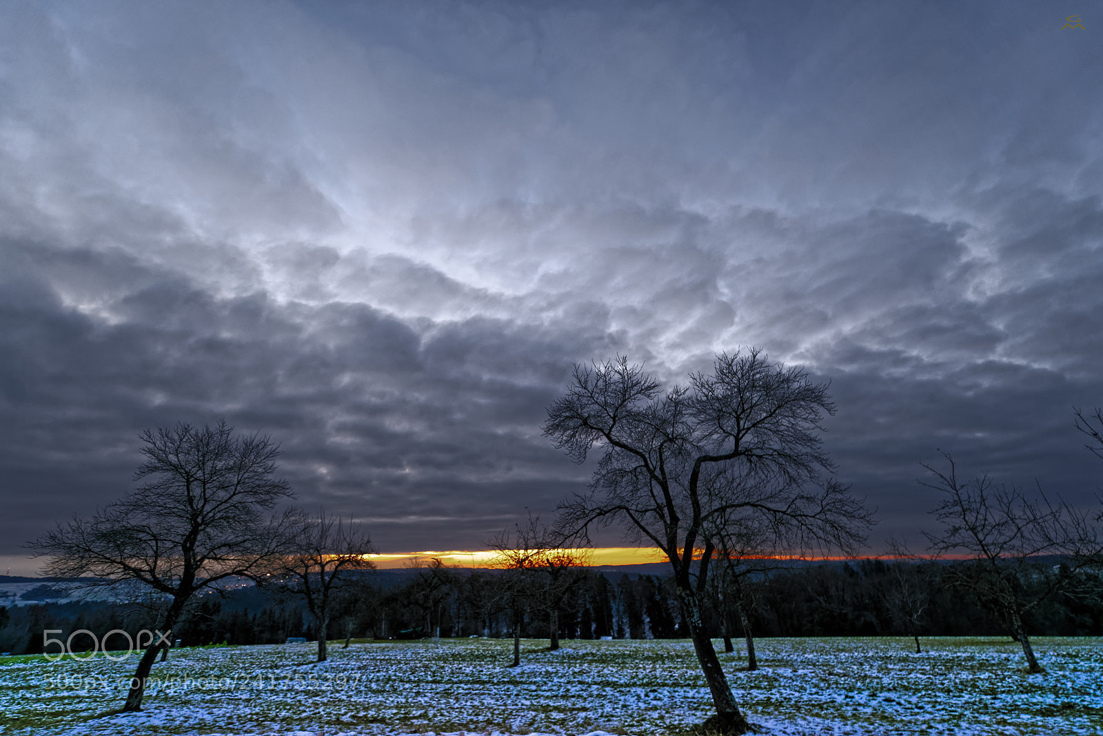 Nikon D800 sample photo. Winter morning glow photography