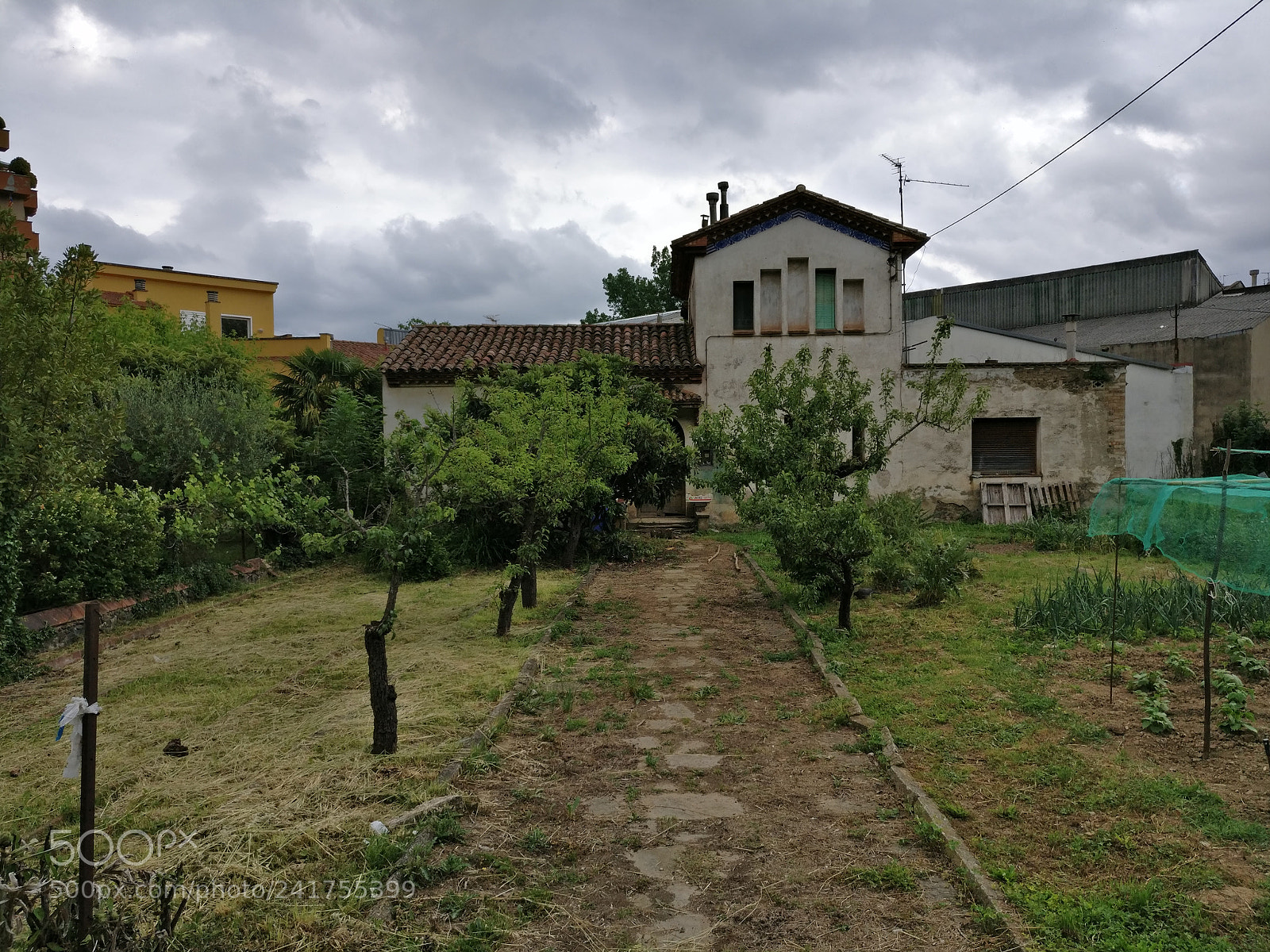 OnePlus A3003 sample photo. Img_20170520_171116.jpg photography