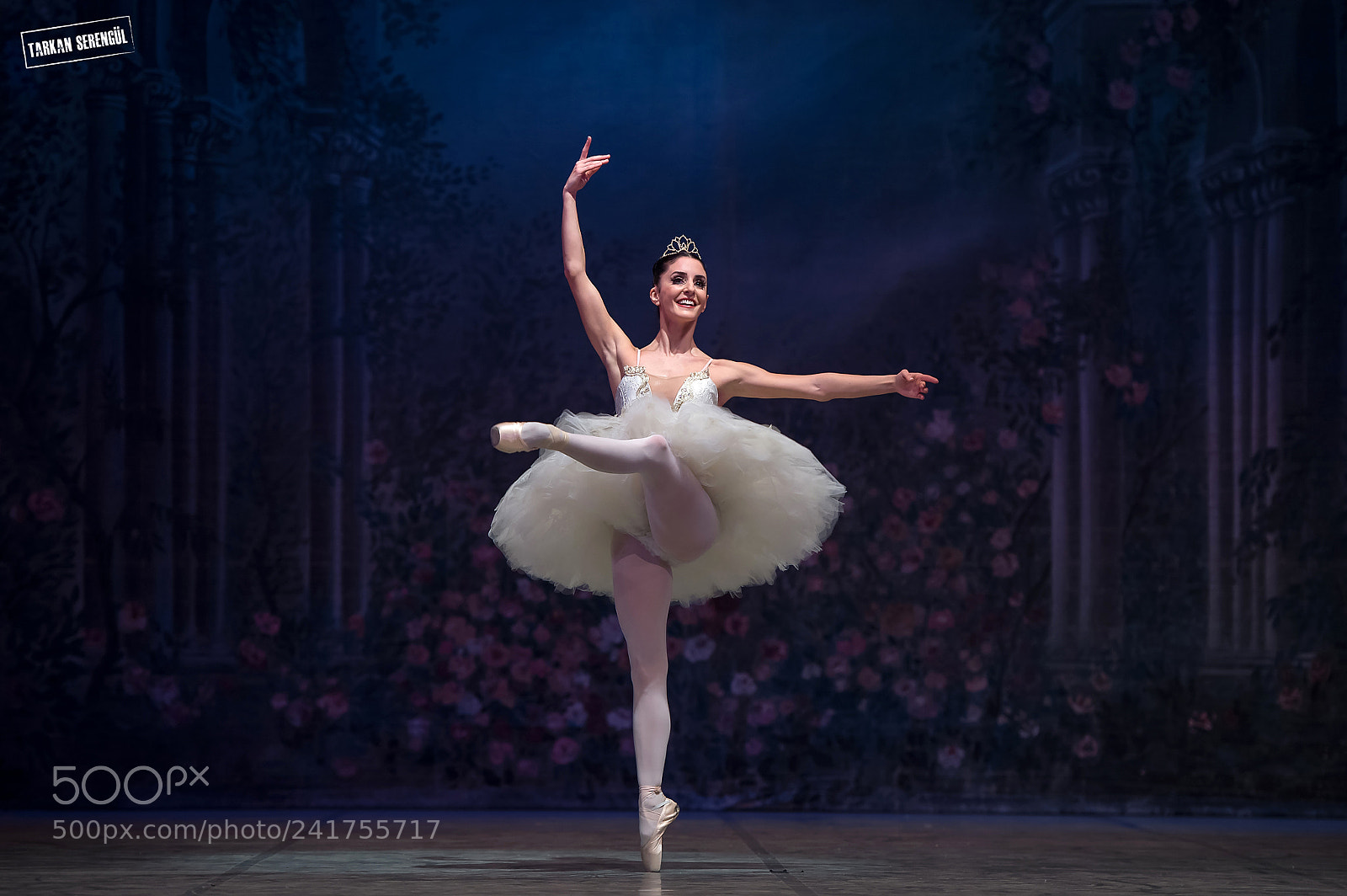 Nikon D4S sample photo. The nutcracker photography