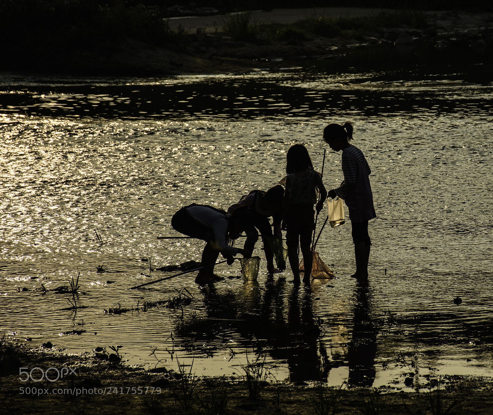 Nikon D7200 sample photo. Find fish photography