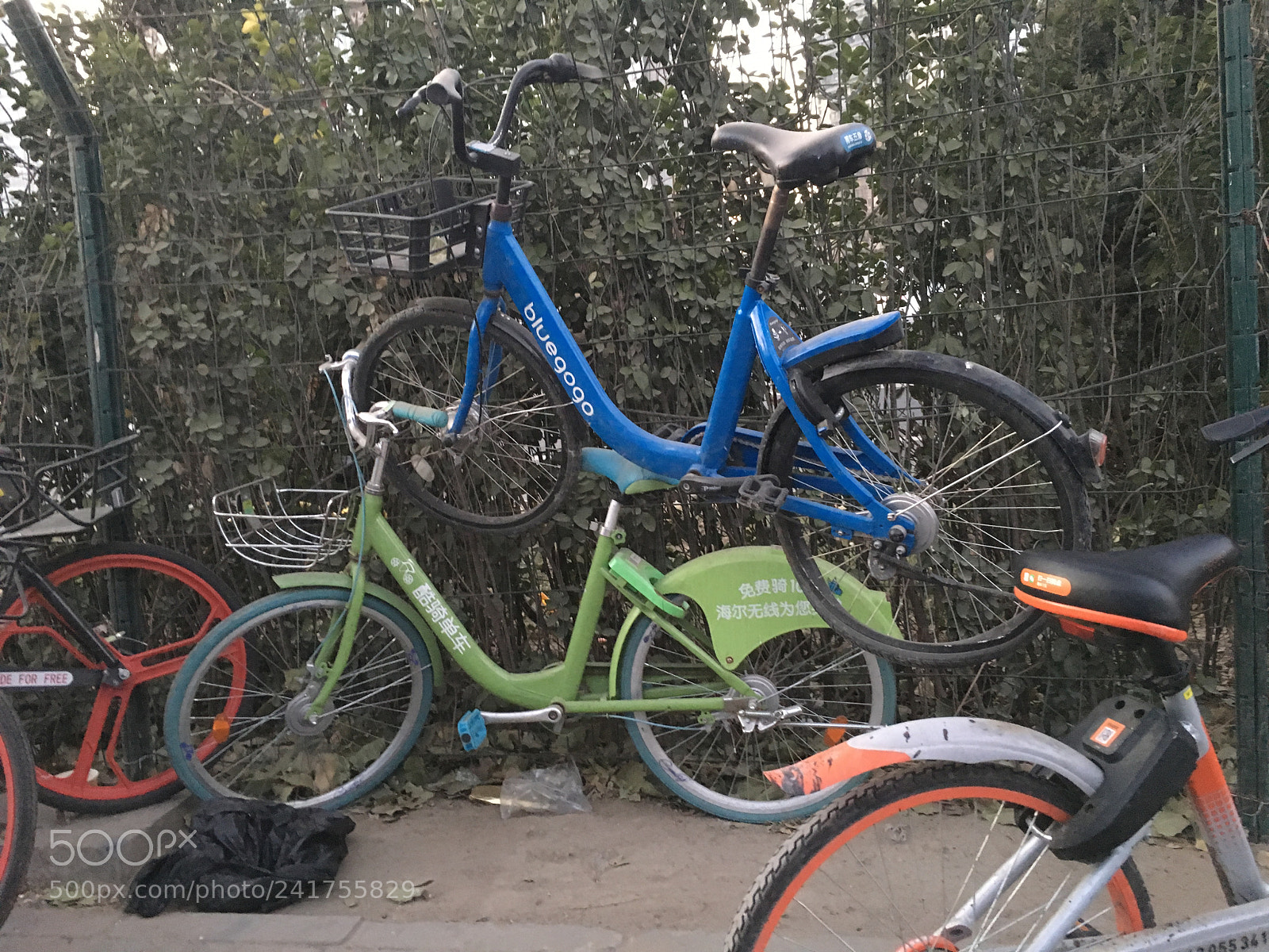 Apple iPhone 6s sample photo. Bikes photography