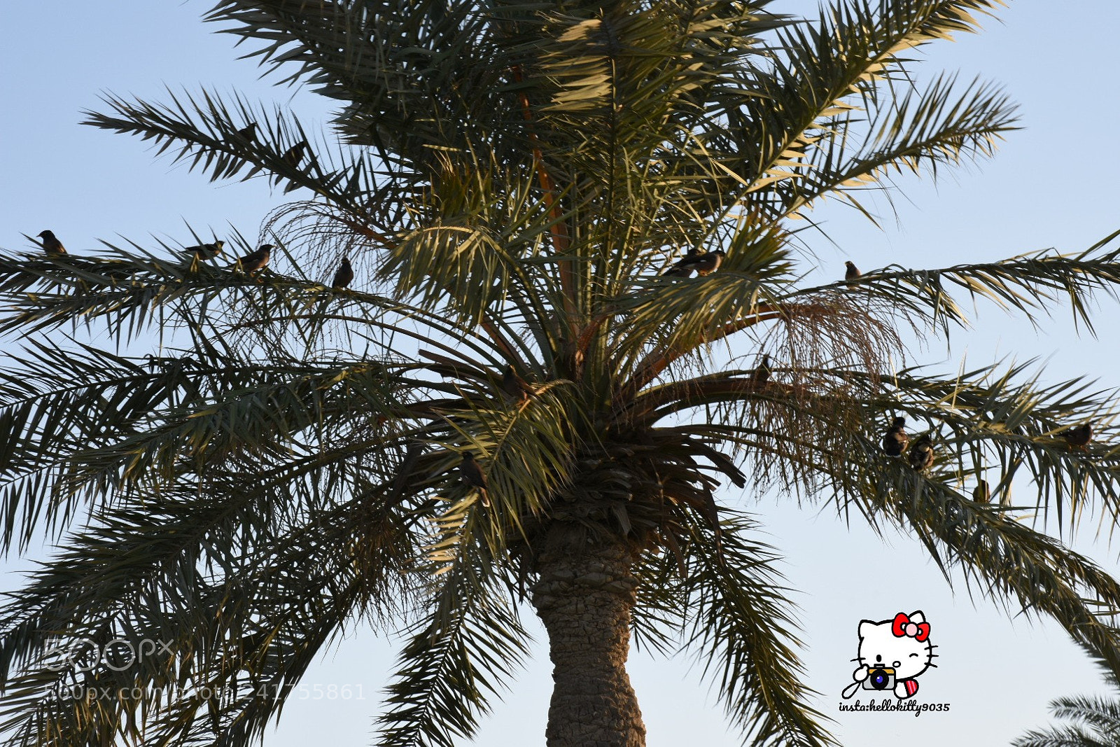 Nikon D7200 sample photo. Untitled photography