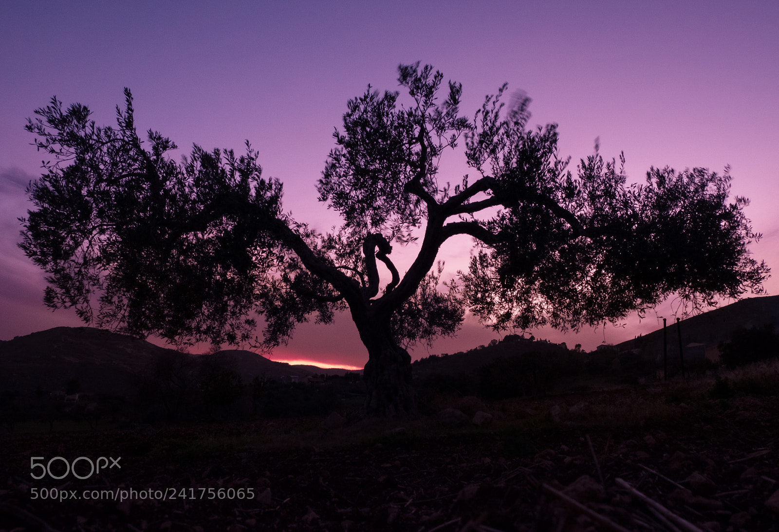 Fujifilm X-T20 sample photo. Sunset scopello photography