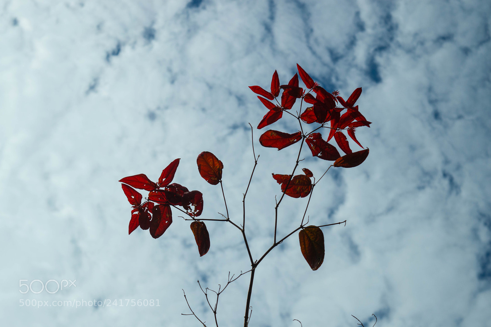Nikon D3200 sample photo. Ripples photography