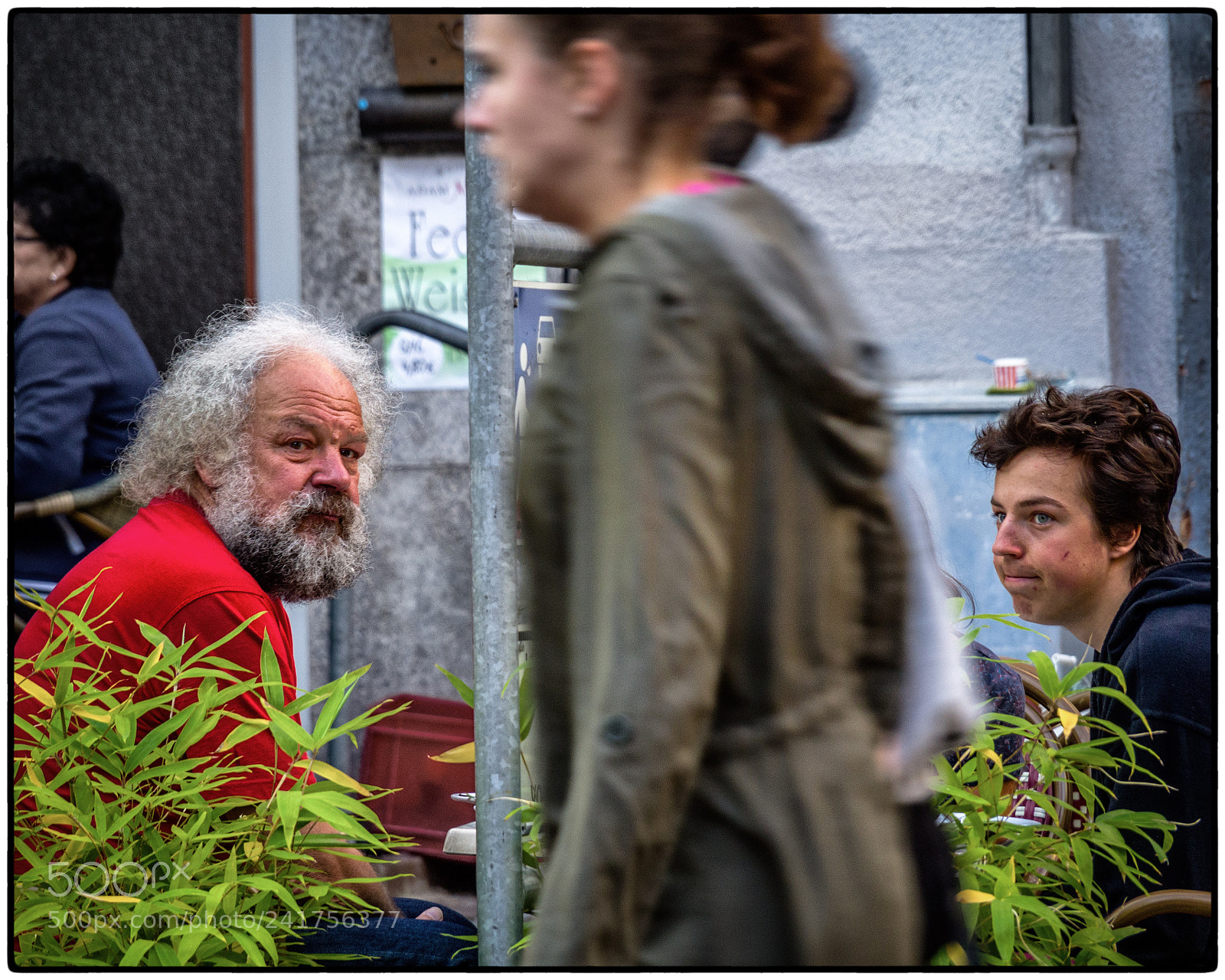 Olympus OM-D E-M10 II sample photo. A passing interest... photography