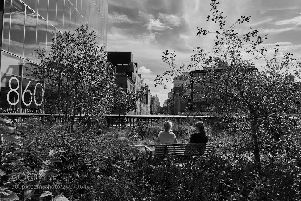 Sony Cyber-shot DSC-RX100 IV sample photo. High line, new york. photography