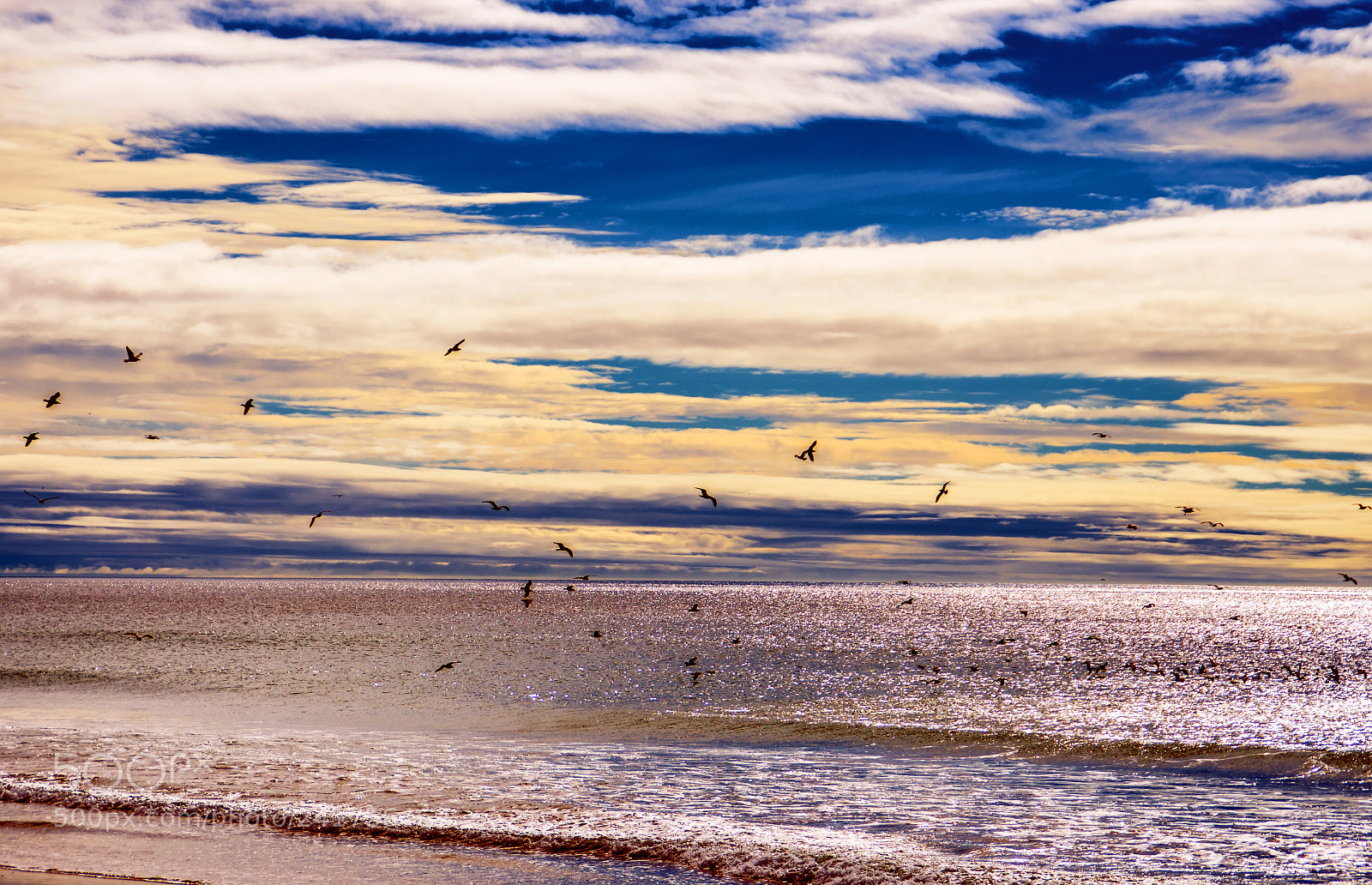 Nikon D7200 sample photo. Three elements photography