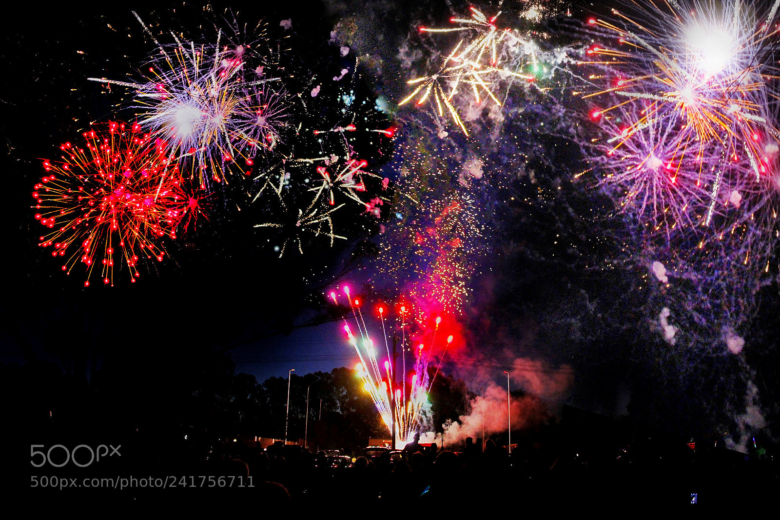 Canon EOS 60D sample photo. New year's greetings from photography